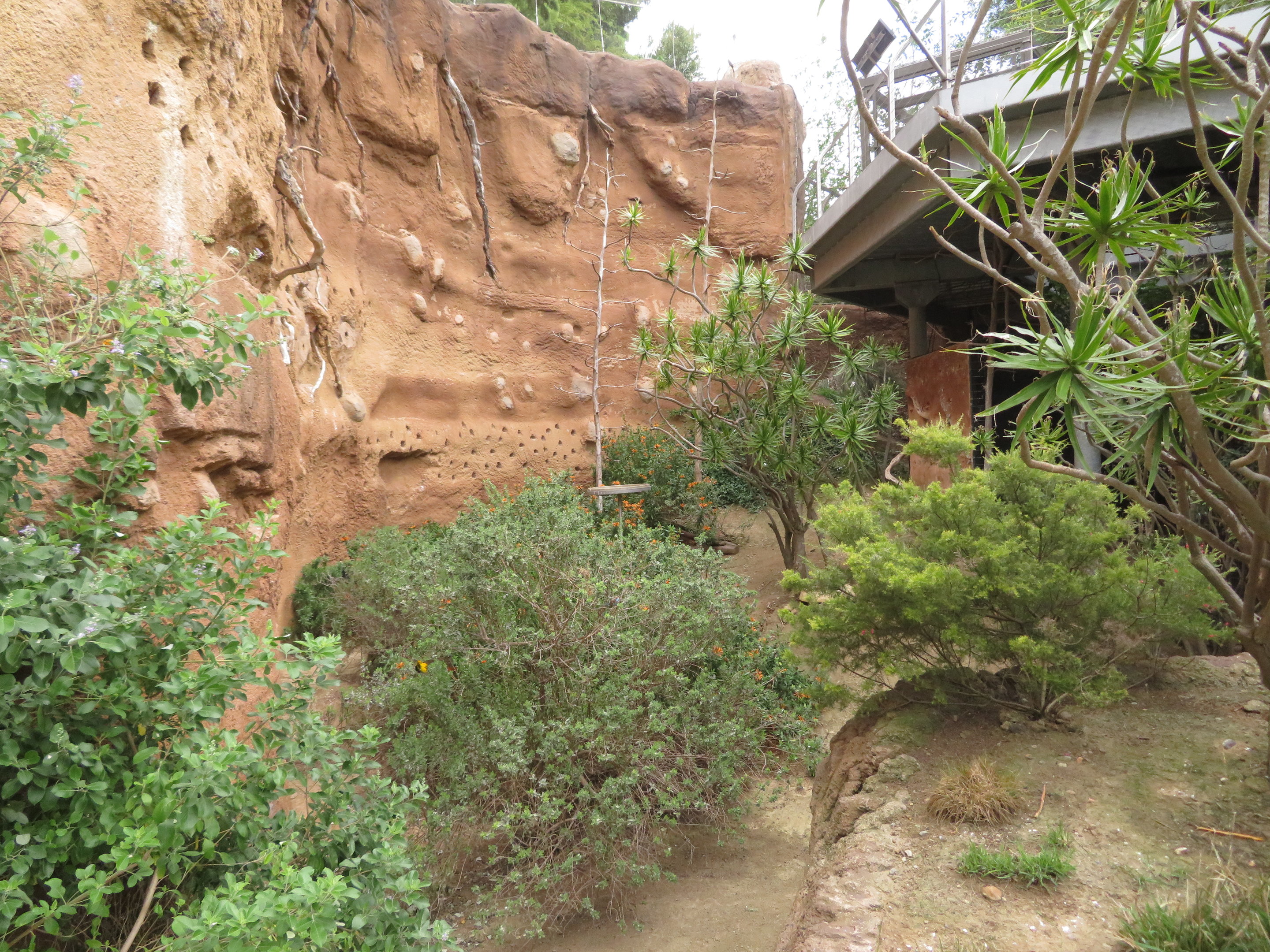 Acacia Woodland Aviary Floor