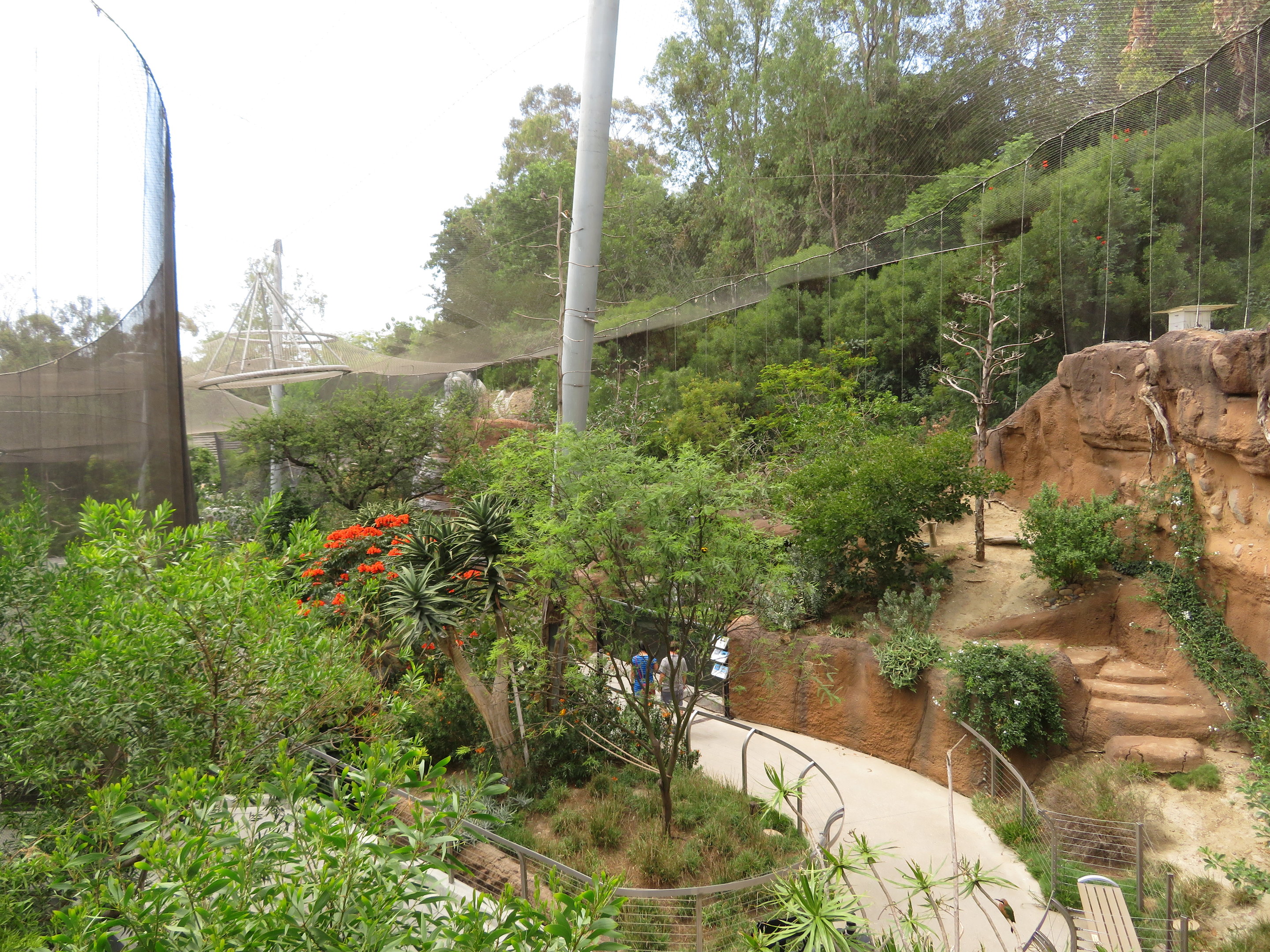 Acacia Woodland Aviary