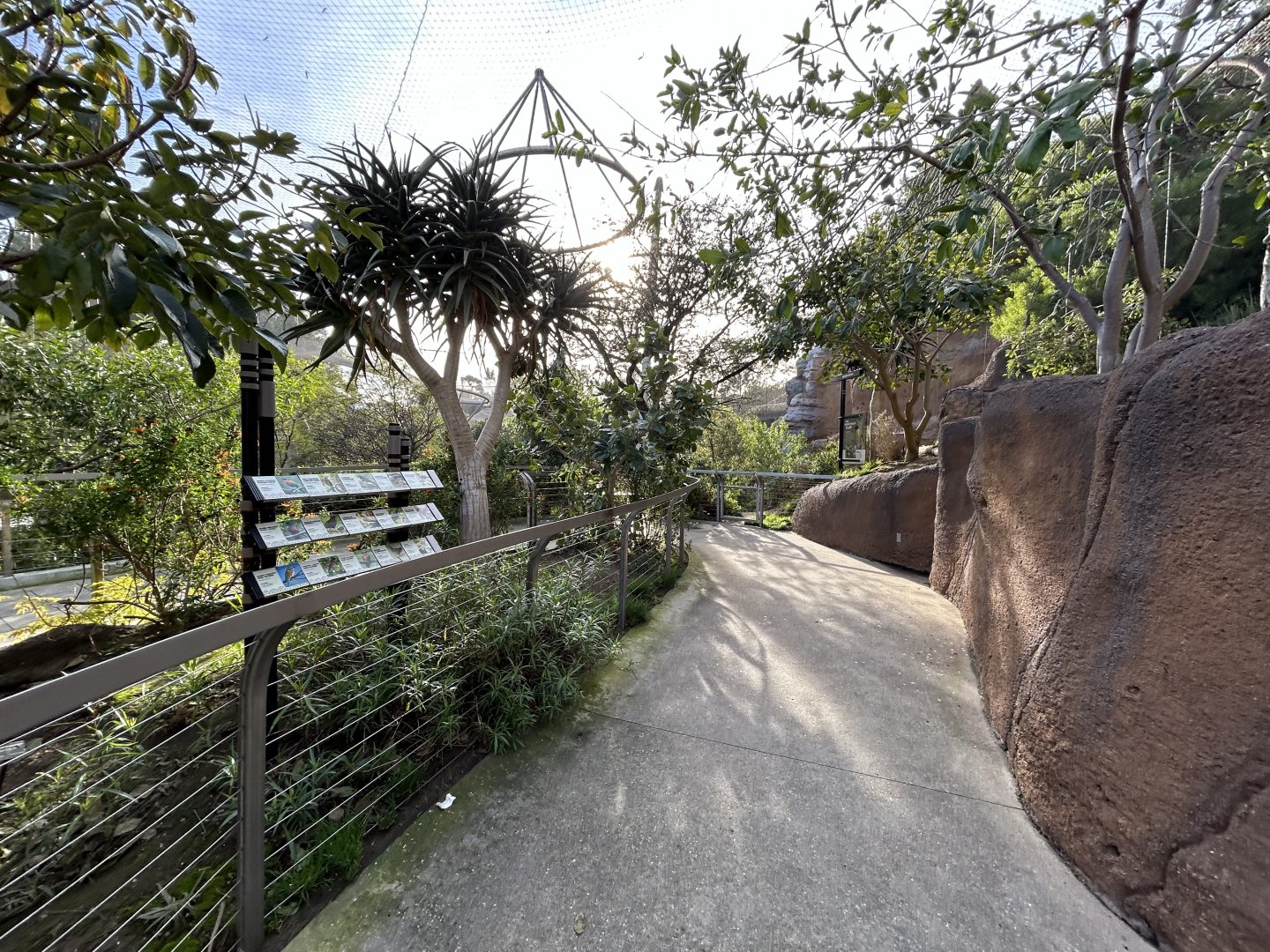 Acacia Woodlands Aviary - Africa Rocks
