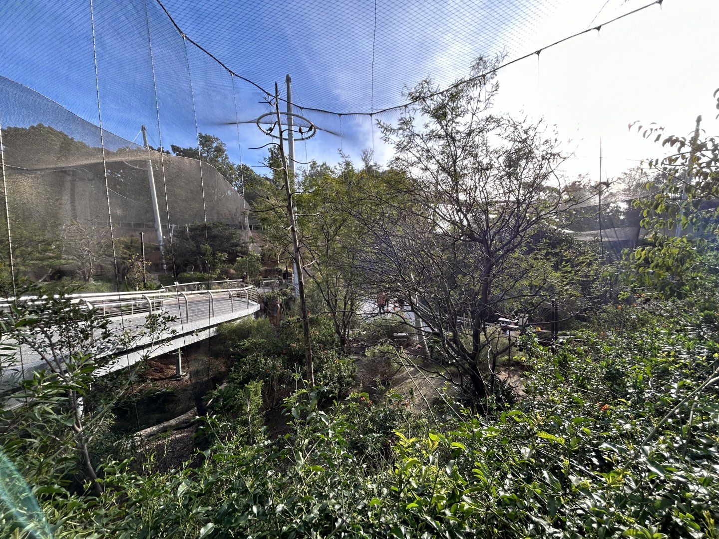 Acacia Woodlands Aviary - Africa Rocks