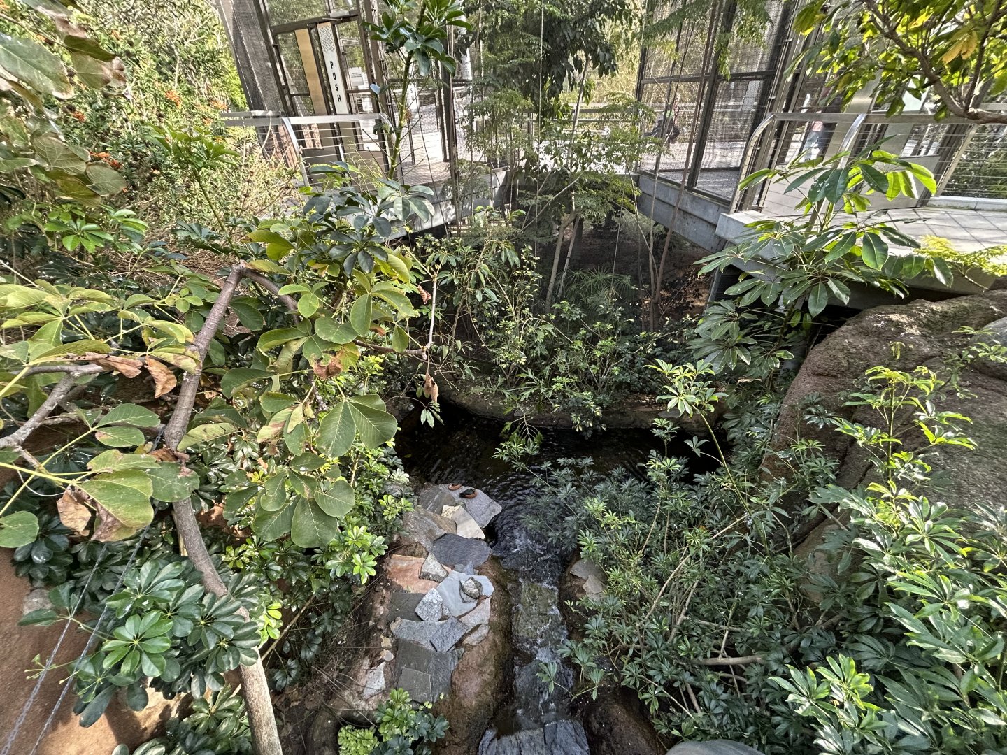 Acacia Woodlands Aviary - Africa Rocks