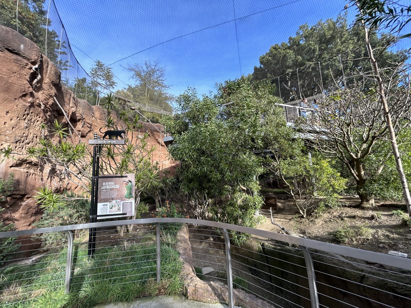 Acacia Woodlands Aviary - Africa Rocks