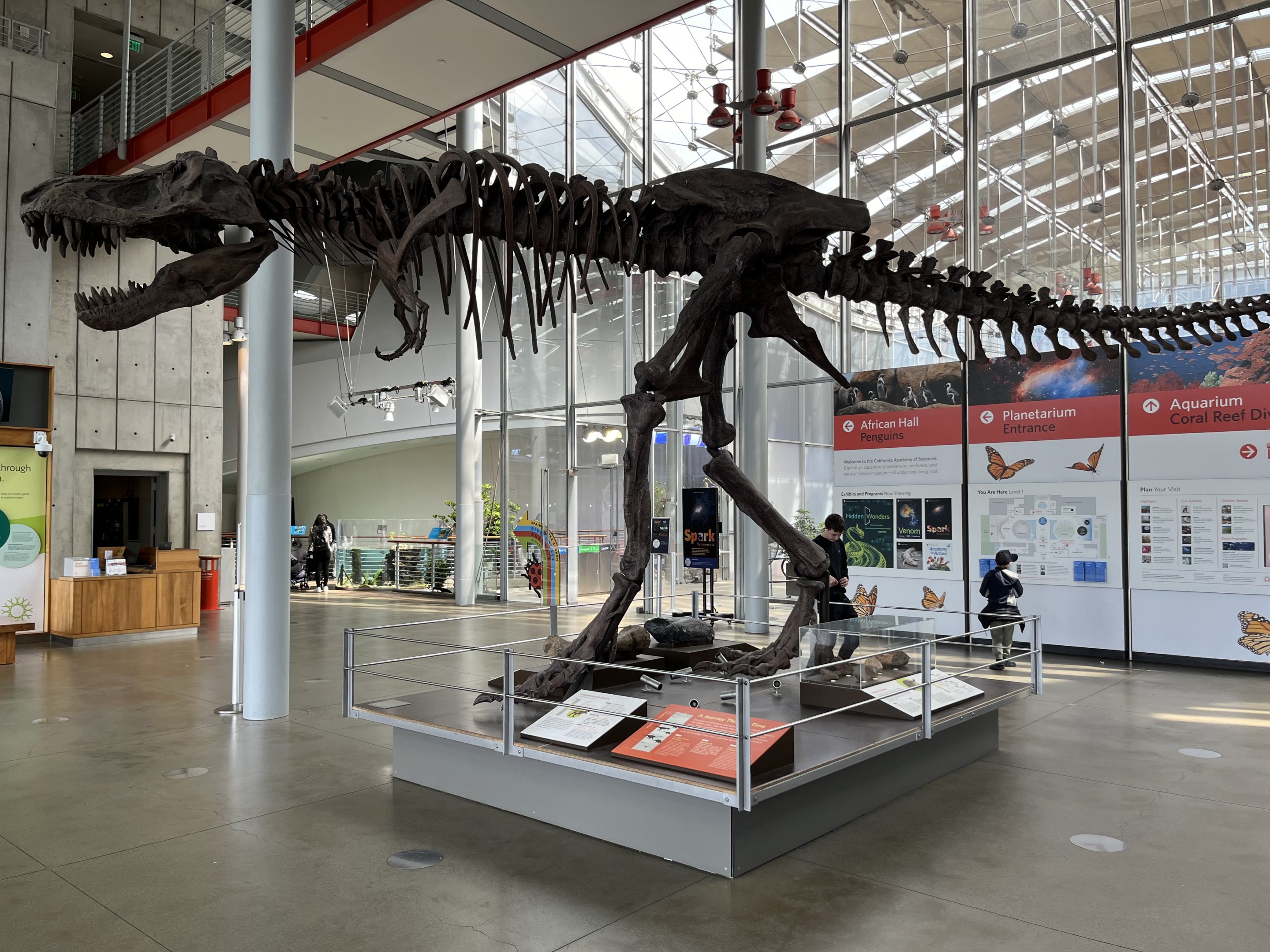 Academy Entrance Plaza