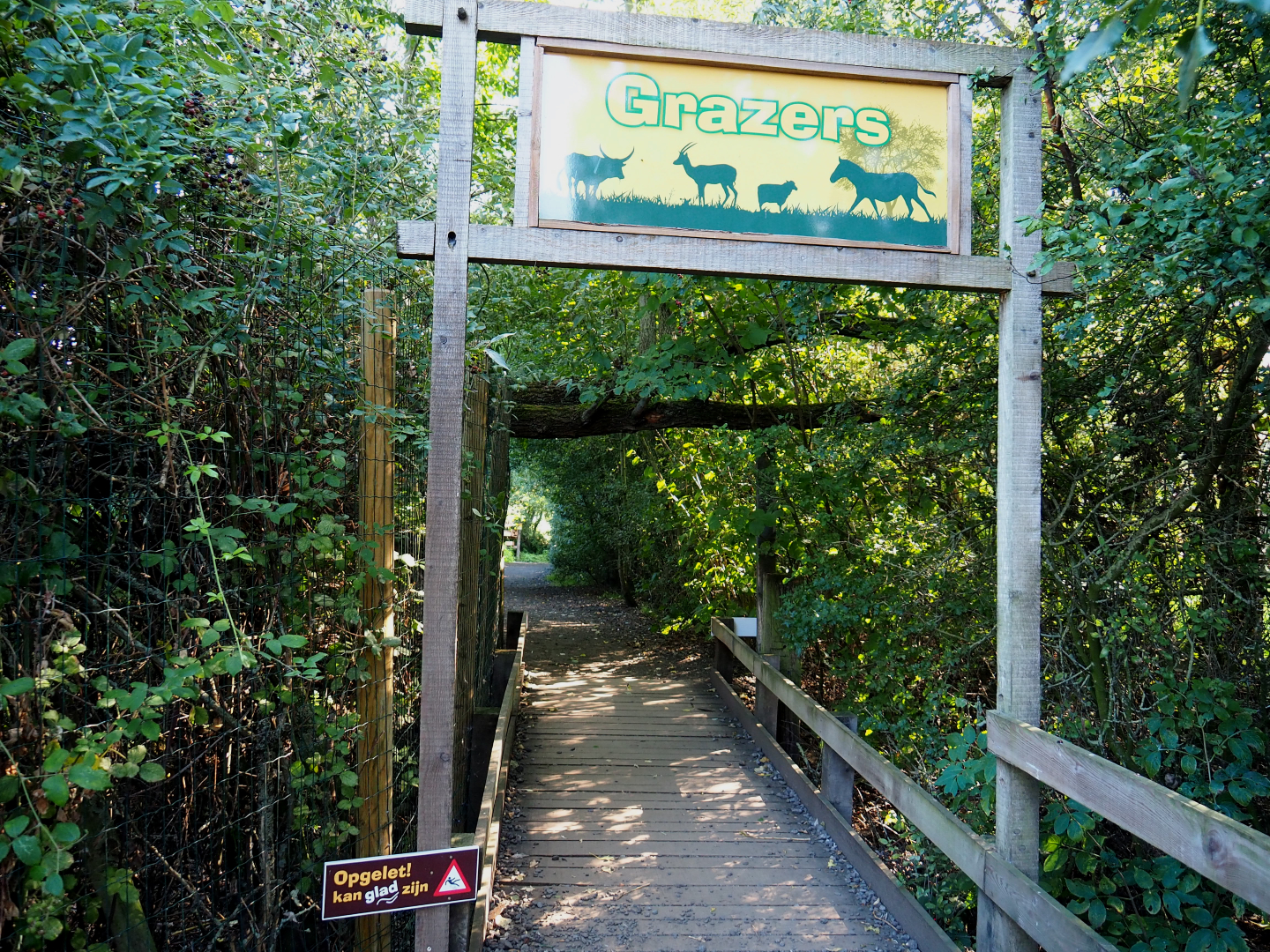 Acces to area with grazing animals, 2020-09-12