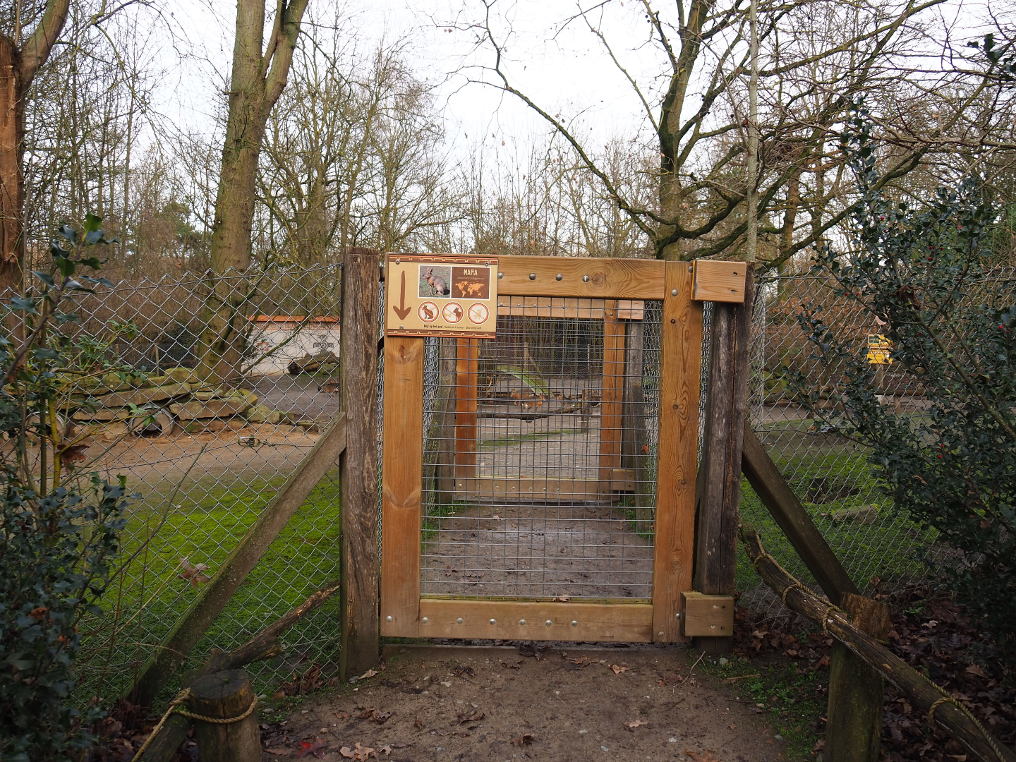 Access gates to Patagonian walk-through exhibit, 2020-01-11