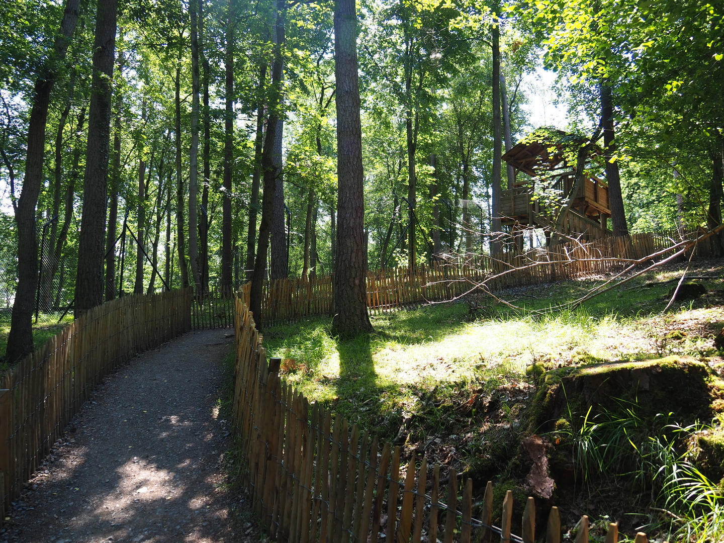Access road to Arctic wolf viewing area, 2020-07-12
