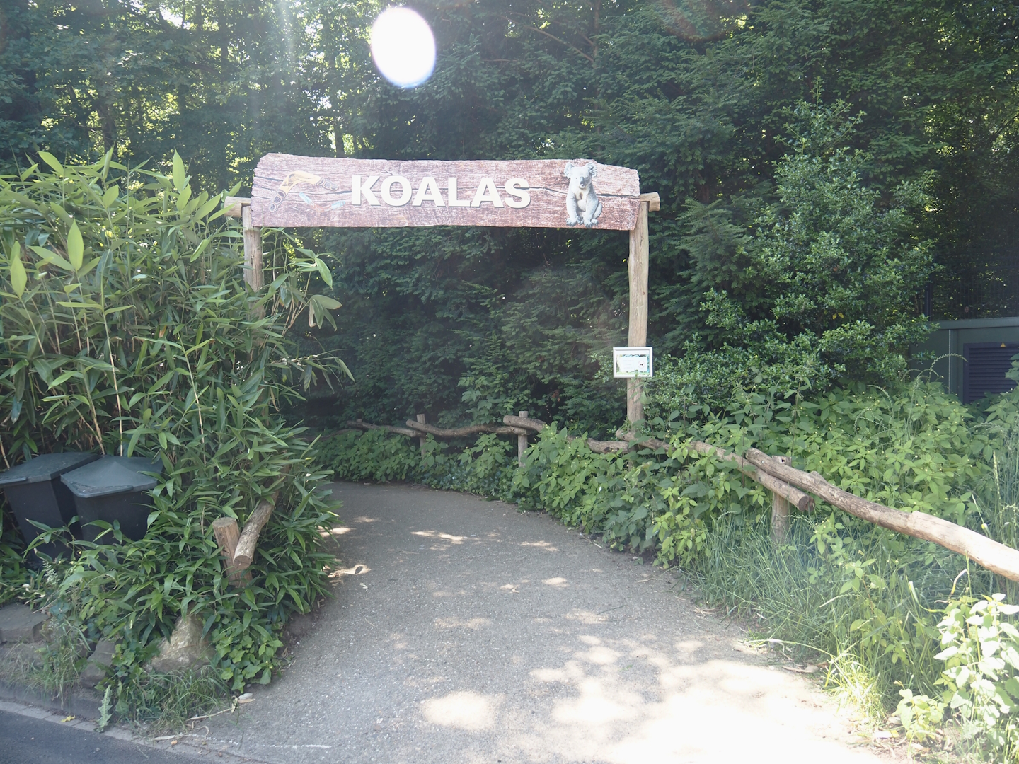 Access road to koala hous, 2024-06-08