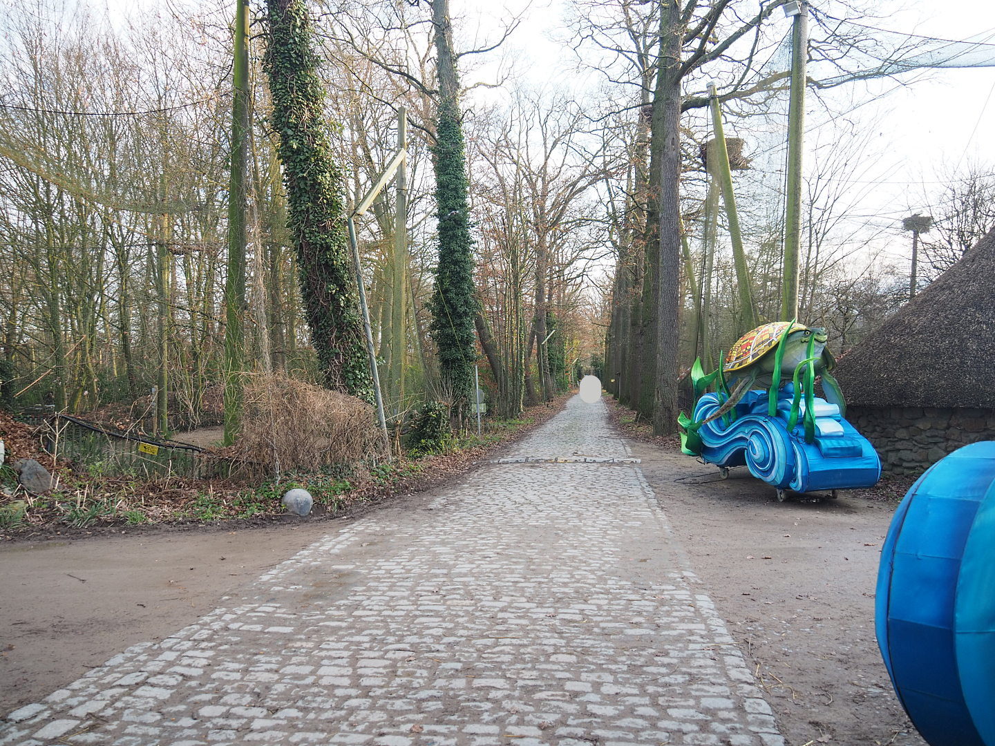 Access road to main animal services area between European and African sections, 2022-01-02