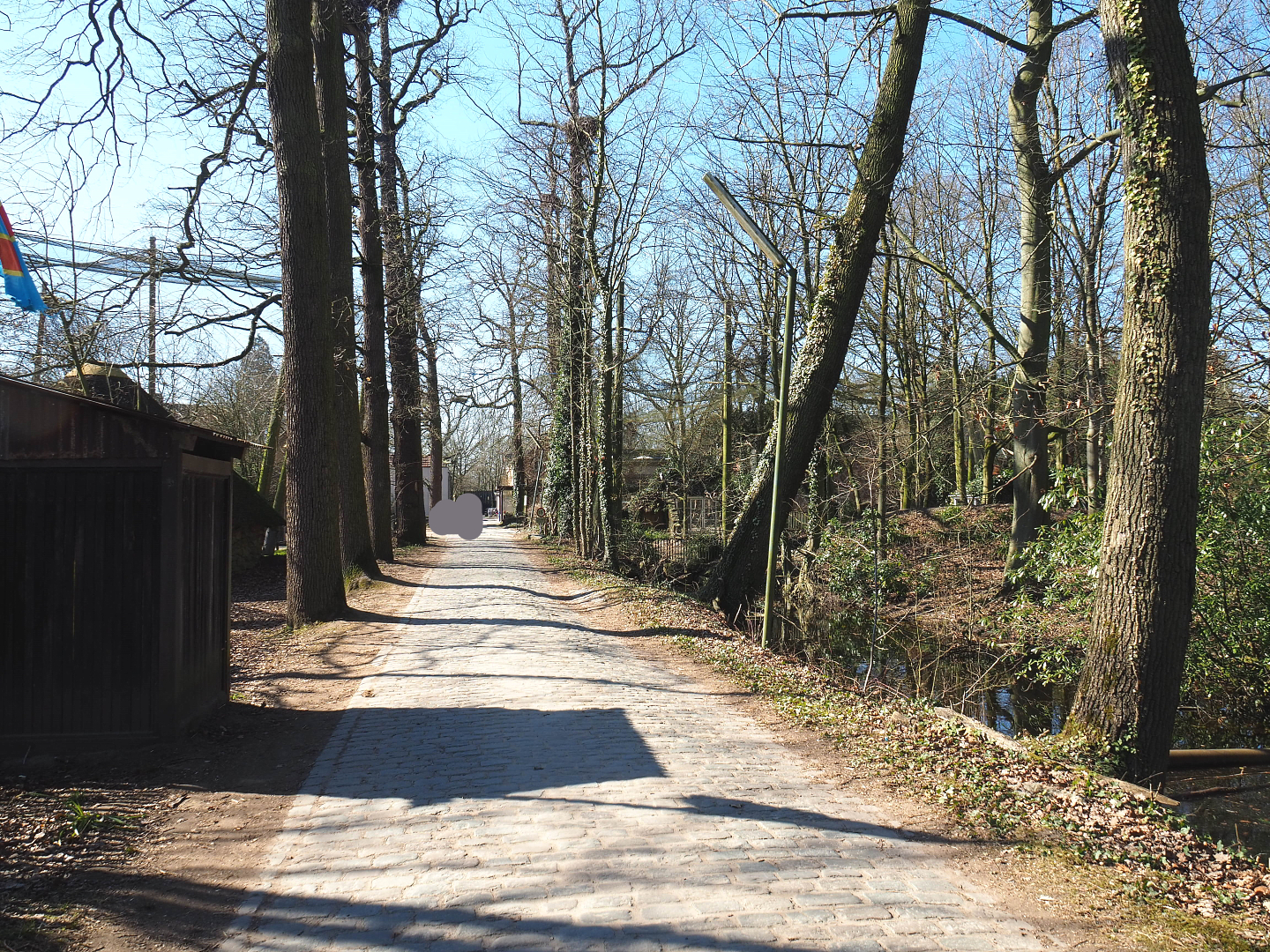 Access road to main animal services area between European and African sections, 2022-03-08