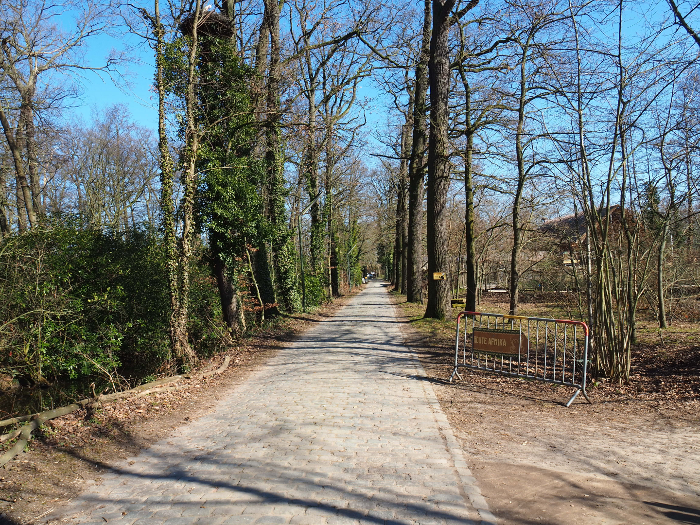 Access road to main animal services area between European and African sections, 2022-03-08