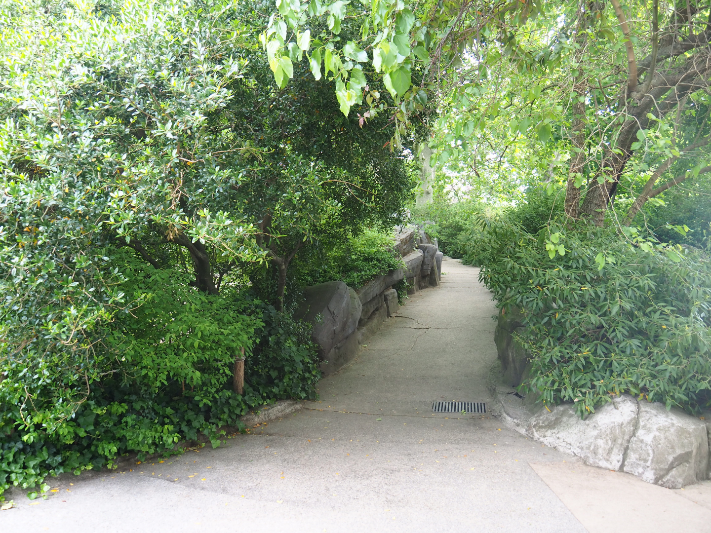Access road to panorama viewing bridge above lion and alpaca exhibits, 2022-05-26
