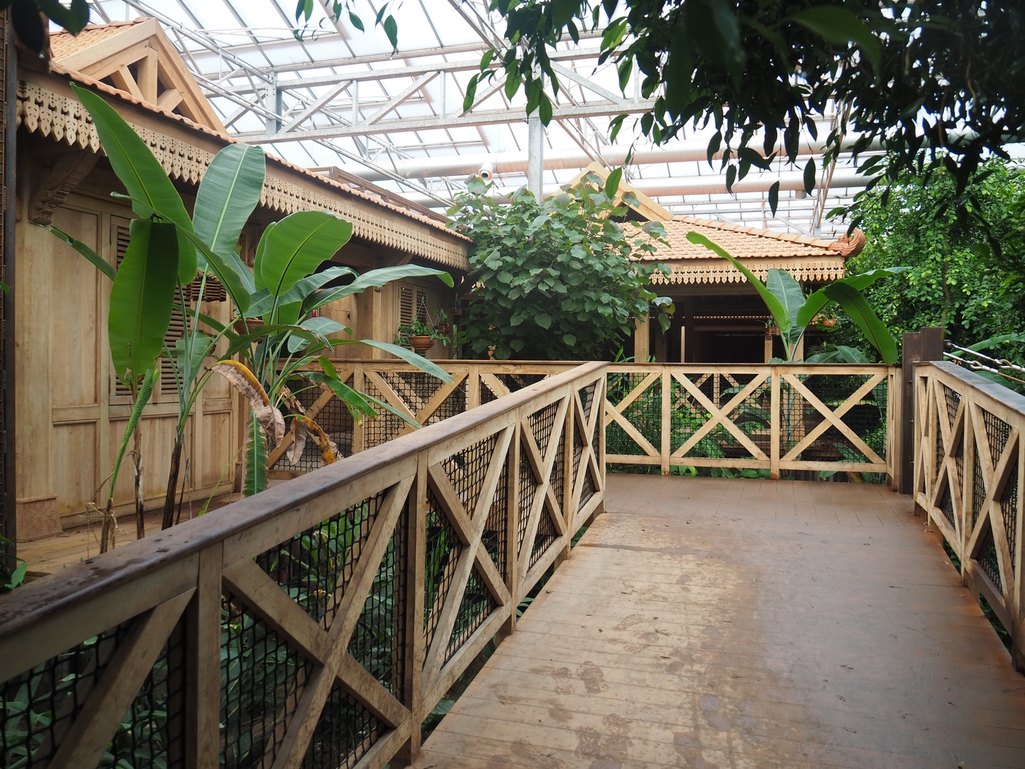 Access road to Sumatran orangutan and Northern white-cheeked gibbon viewing lodges, 2022-09-12