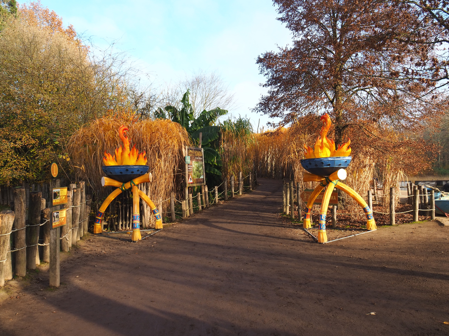 Access road to the bonobo house, 2021-11-23