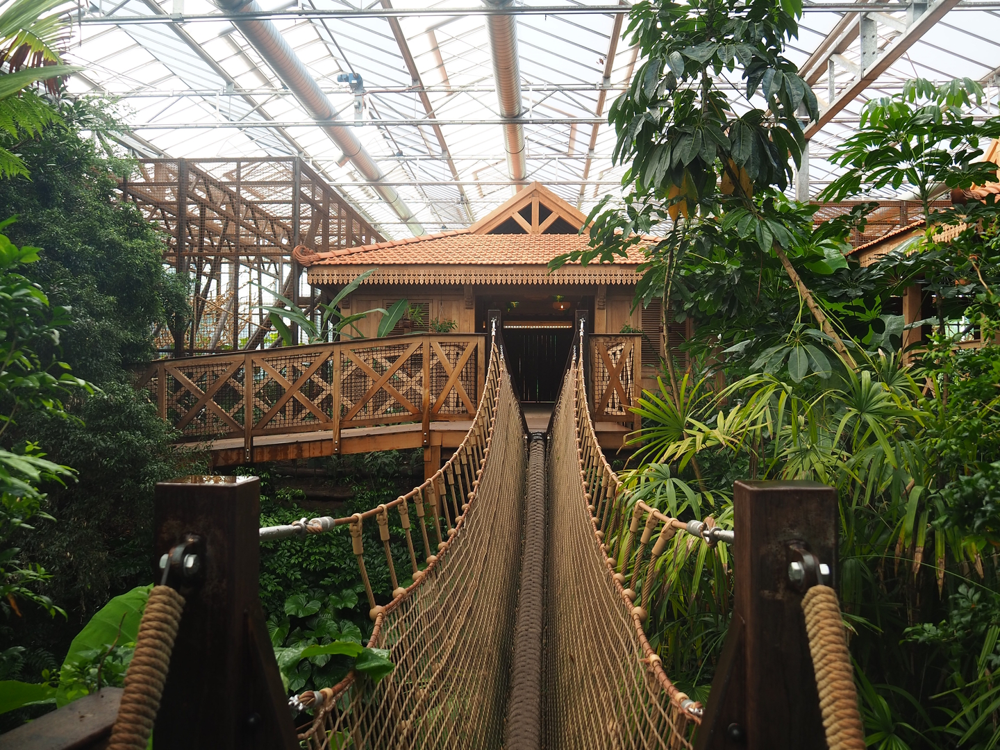 Access roads to Sumatran orangutan and Northern white-cheeked gibbon viewing lodges, 2022-09-12