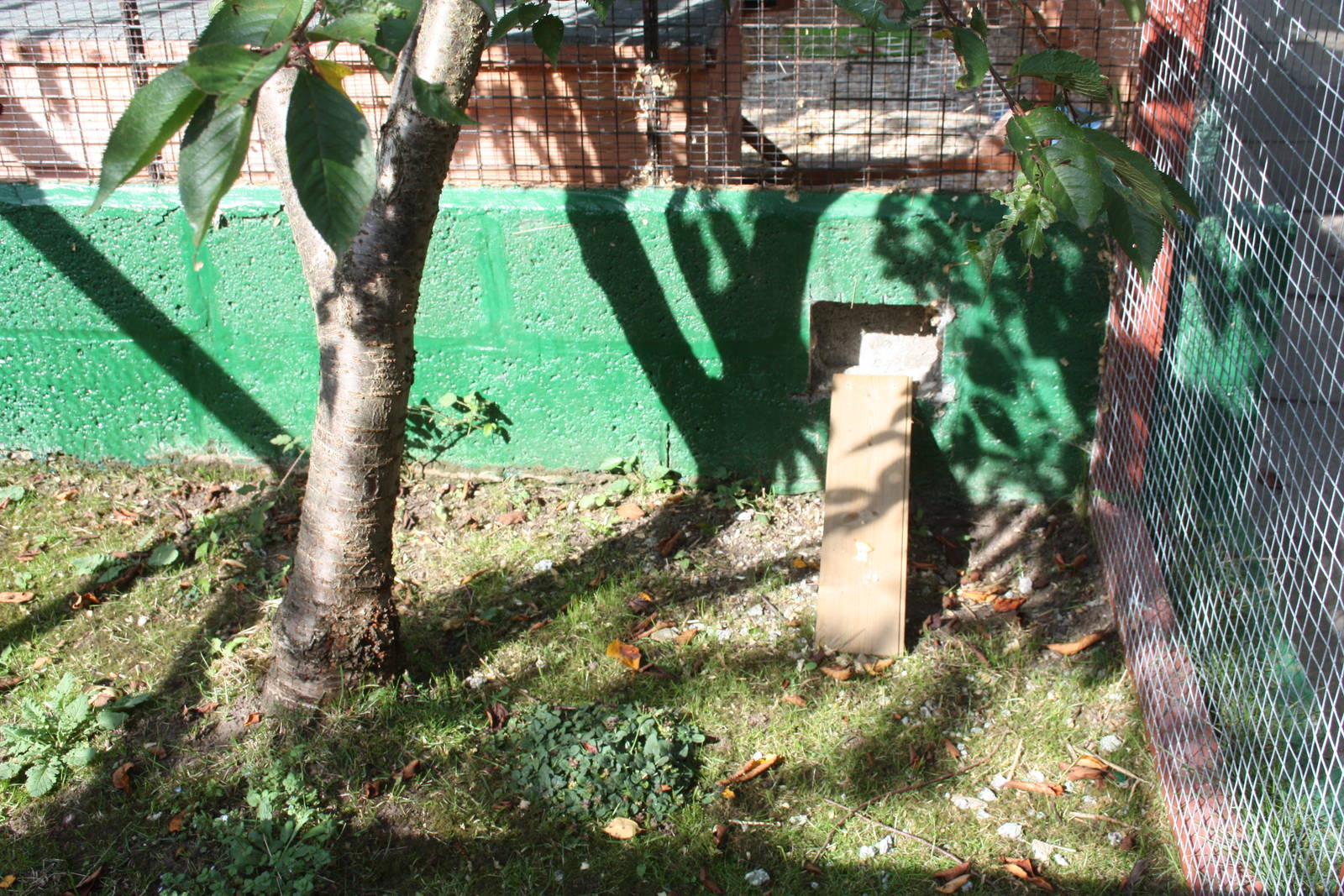 Access to additional Guinea Pig area, 23rd September 2014