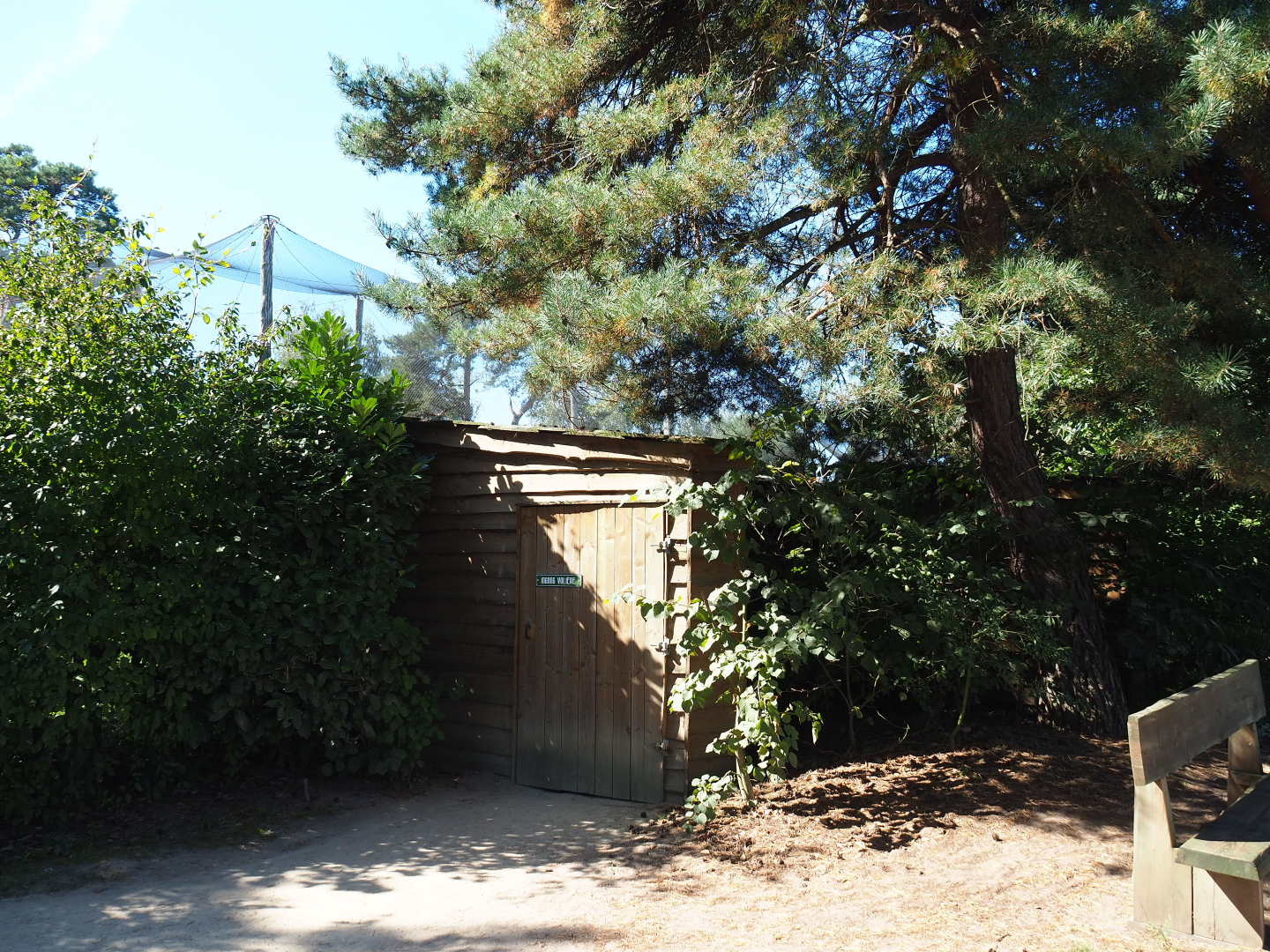 Access to African walk-into aviary, 2019-09-15