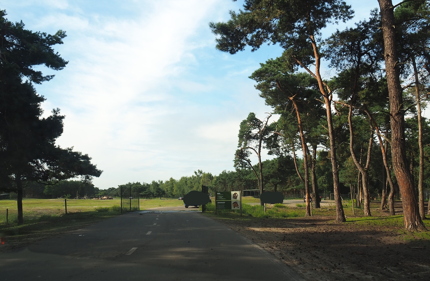 Access to Asian plains drive-through section, 2023-08-15
