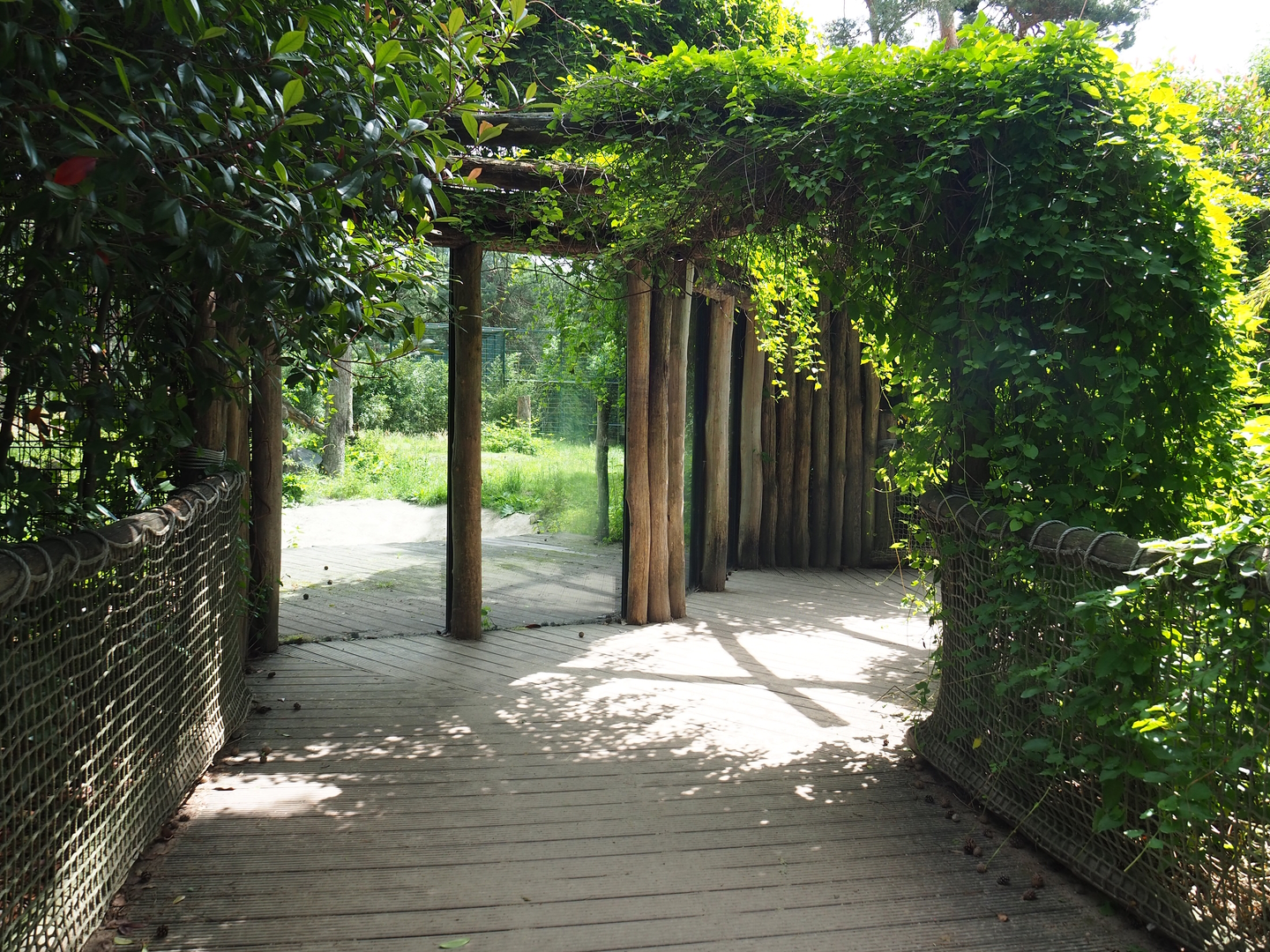 Access to crocodile and hippopotamus house and viewing windows for Amur tiger side exhibit, 2022-06-12