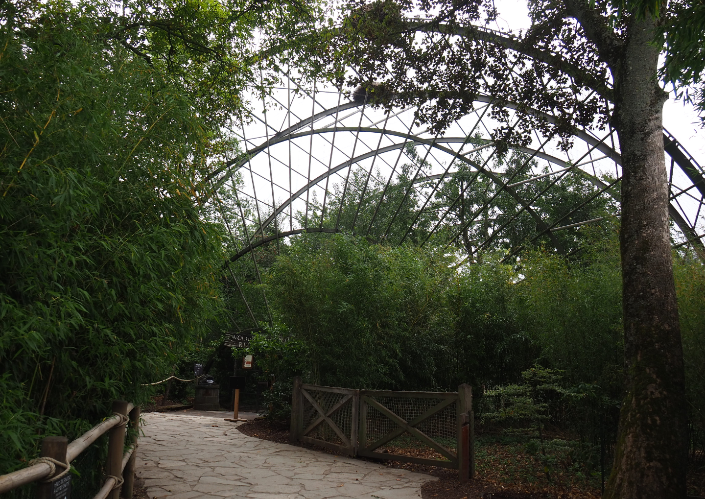 Access to giant walk-through aviary, 2020-09-03