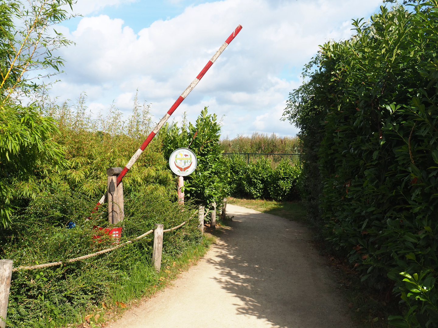 Access to lion area, 2019-08-11