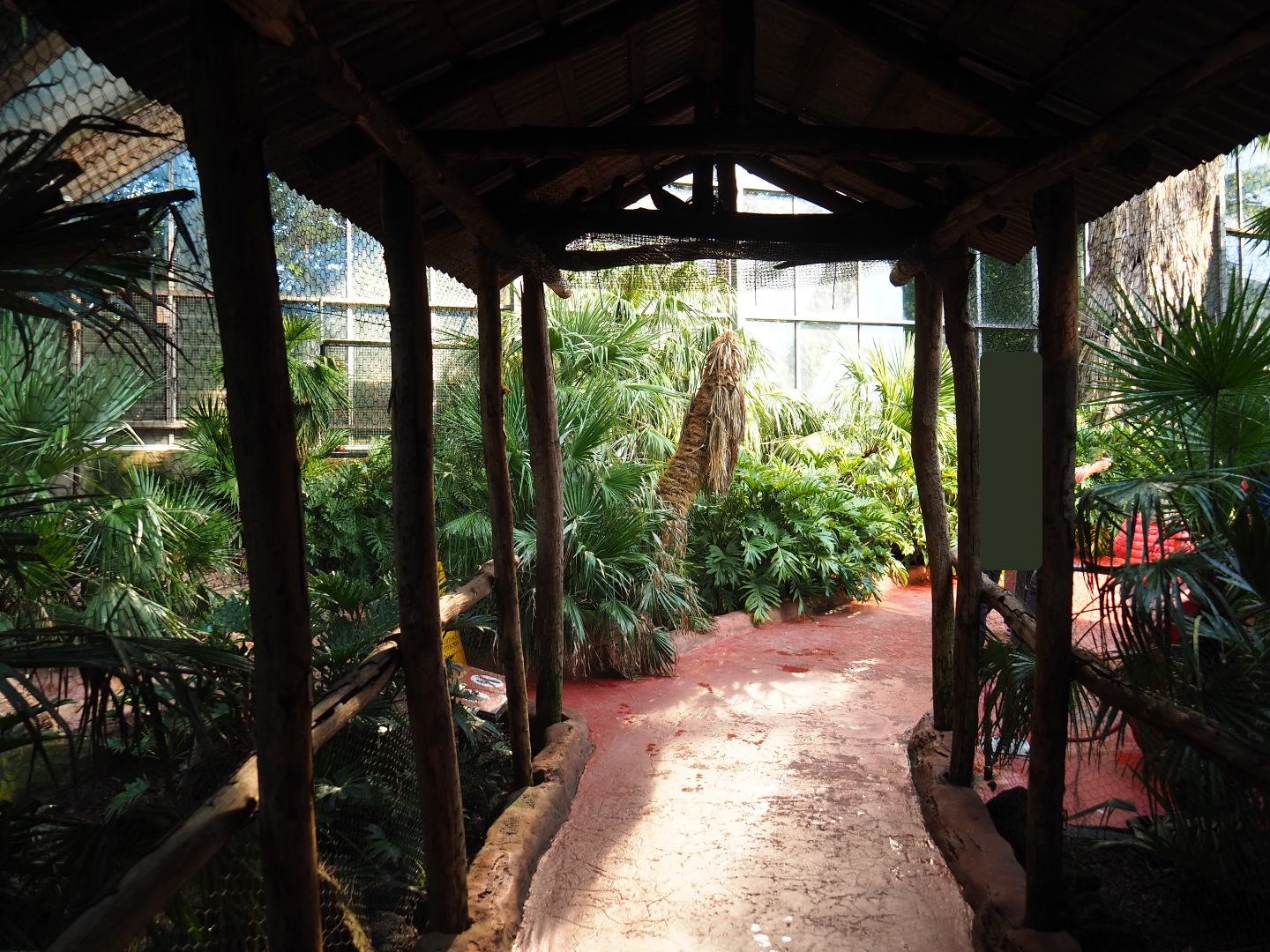 Access to lorikeet walk-through (Sep 2nd, 2018)