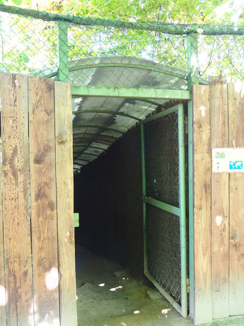 Access to Maned wolf viewing hut, 2023-05-19