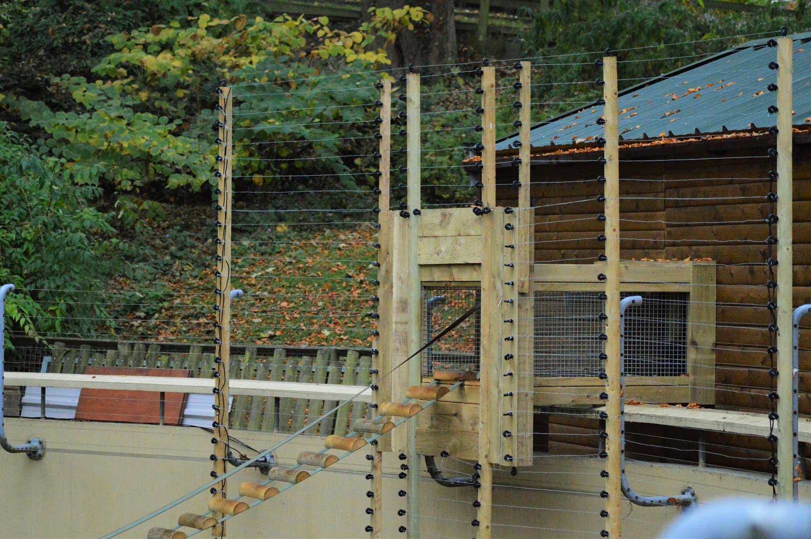 Access to new howler monkey house