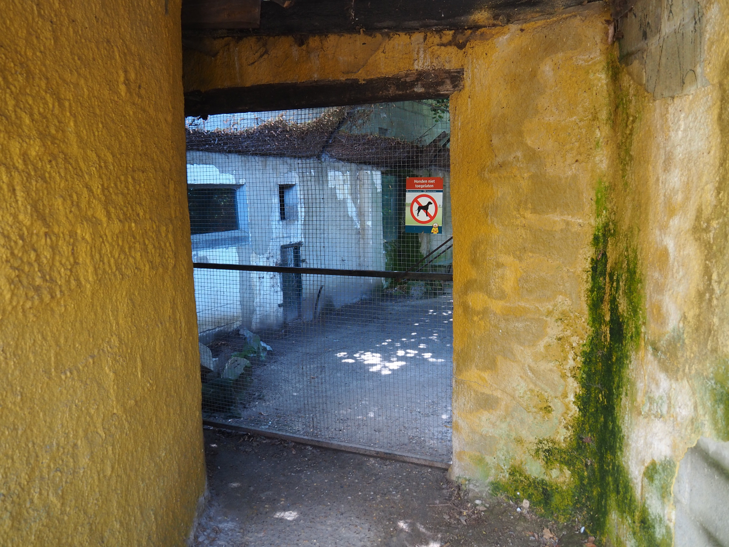 Access to old walk-through aviary, 2019-08-04