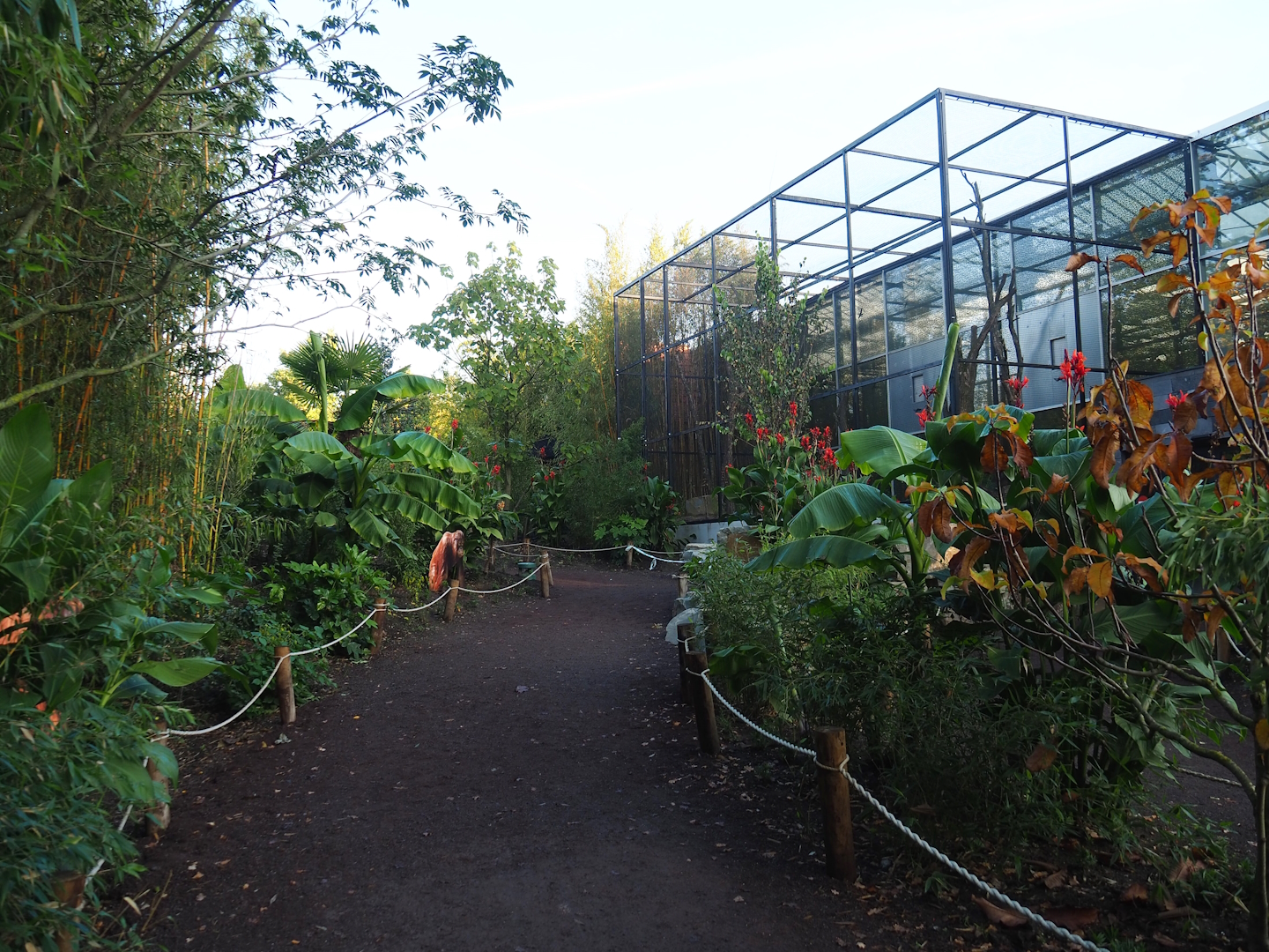 Access to Orangutan greenhouse and Outdoor wrinkled hornbill, Sclater's crowned pigeon and Common hill myna aviary, 2022-10-19