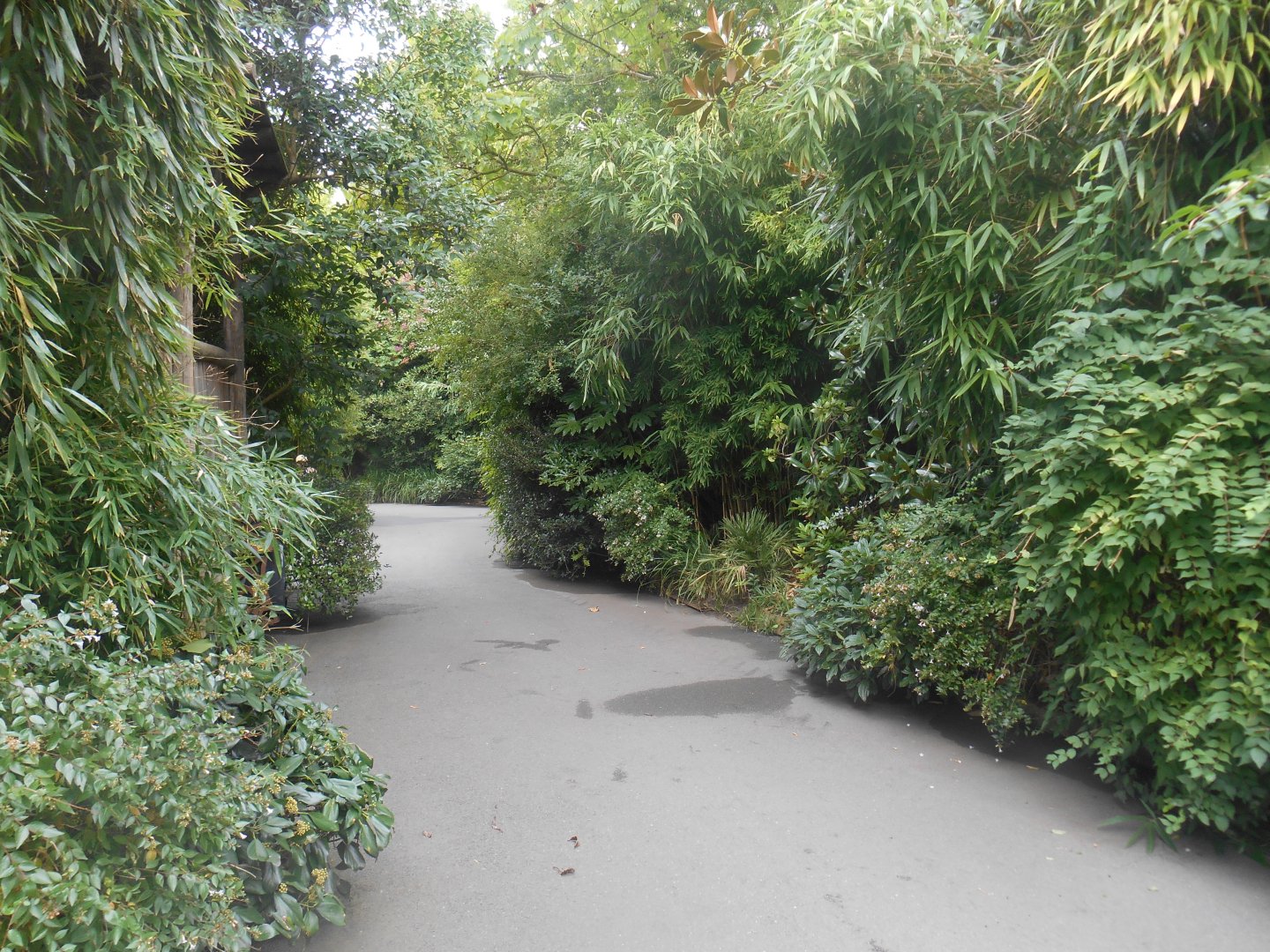 Access to "Orangutan Jungle"