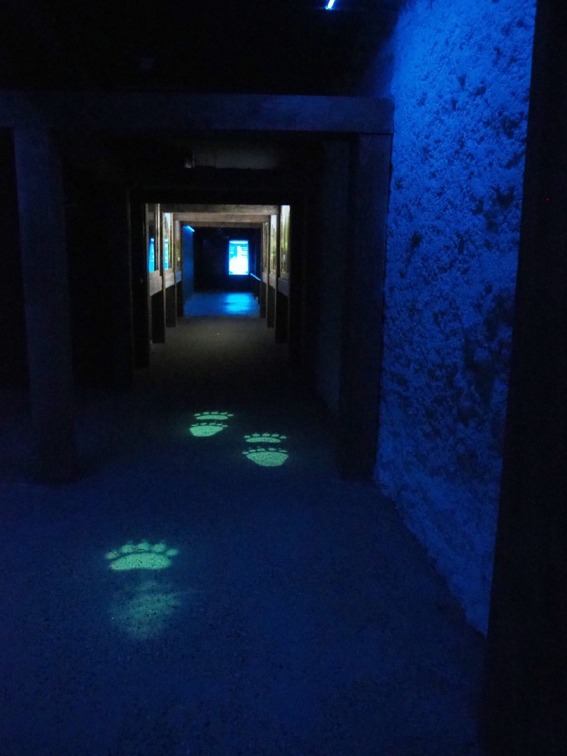 Access to polar bear exhibition, 2022-06-28