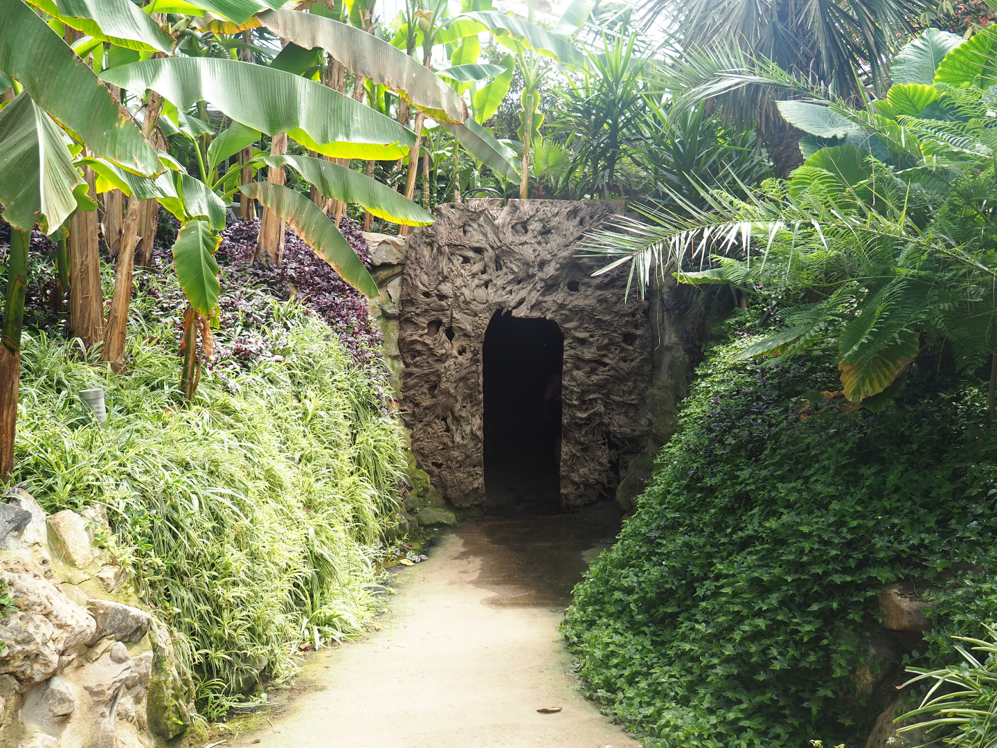 Access to reptile corridor, 2019-08-04