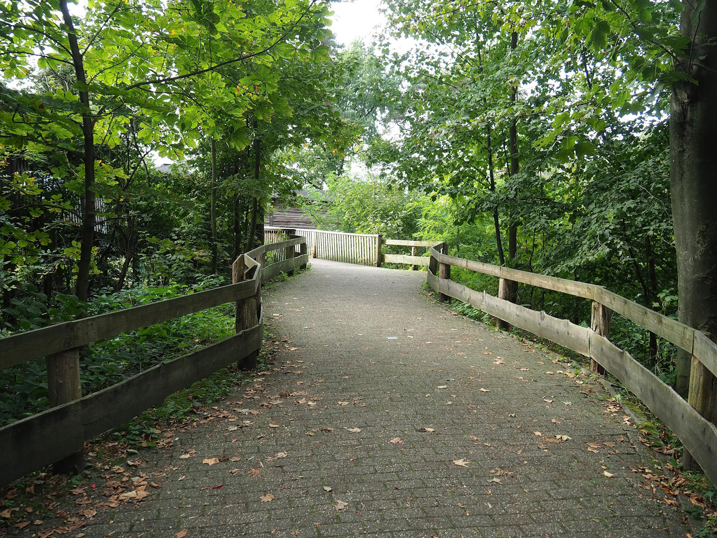 Access to Safari viewing bridge, 2023-10-07