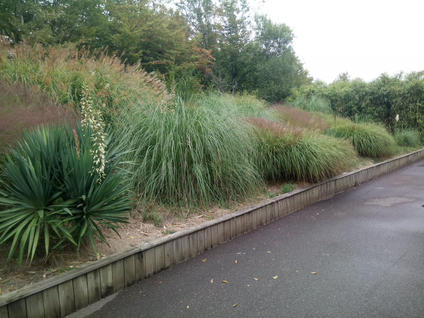 Access to Sea Lions Bay