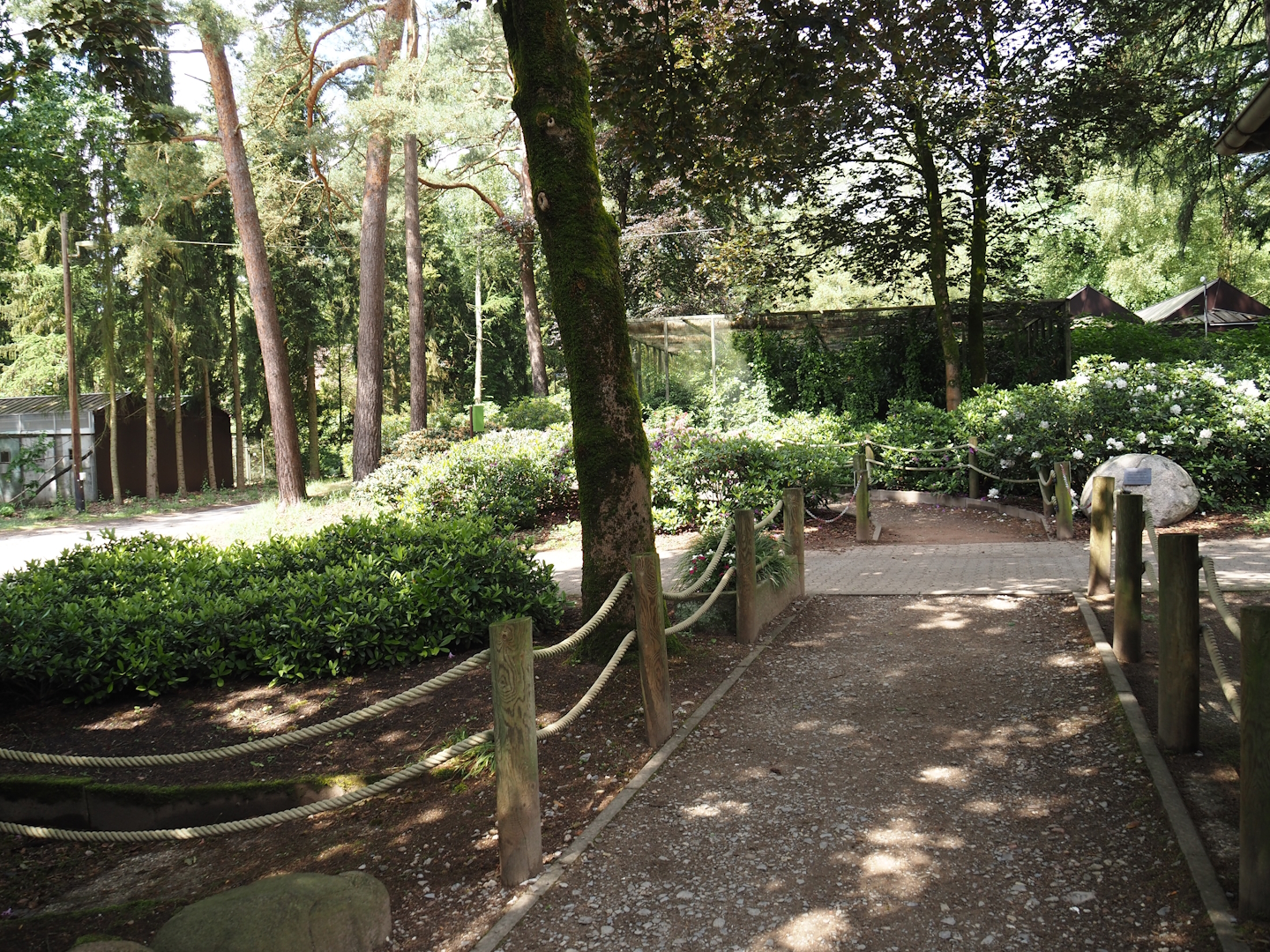 Access to the 'Blick hinter den Kulissen' area, 2024-05-23