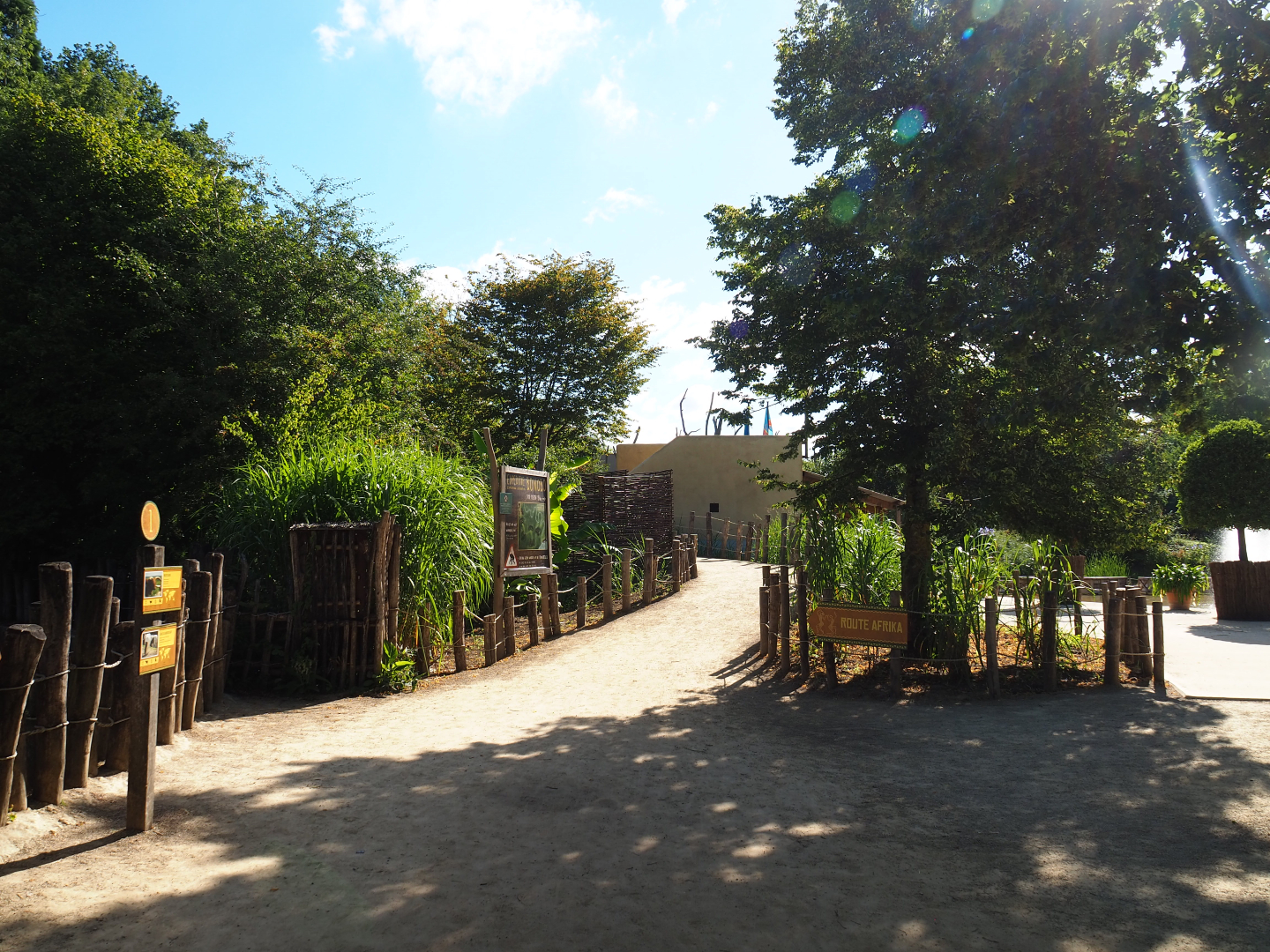 Access to the bonobo viewing areas and the bonobo house, 2020-07-21