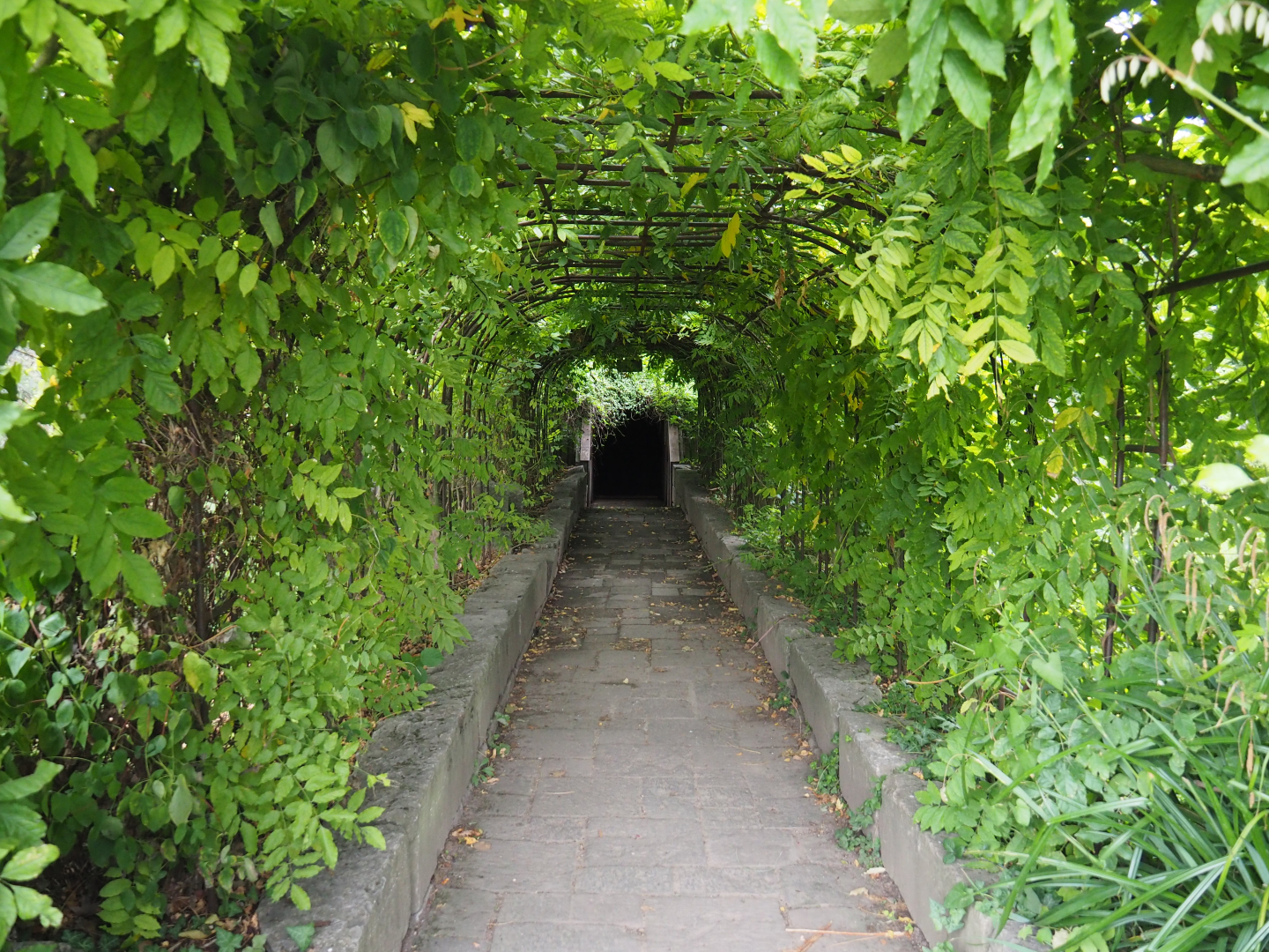 Access to the crypt underneath the abbey tower, 2020-09-03