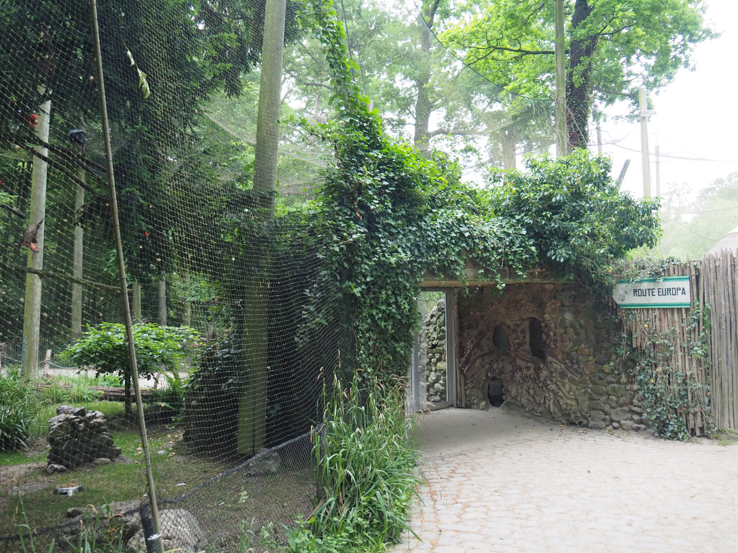Access to the European aviary with Eurasian beaver den viewing windows, 2020-05-23