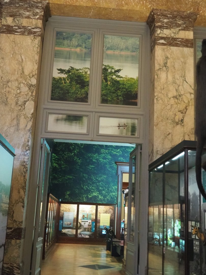 Access to the forest and mangrove section of the Landscapes and Biodiversity Hall, 2021-10-20