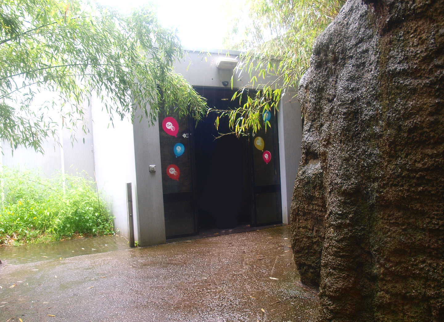 Access to the Oasia greenhouse, 2015-07-19