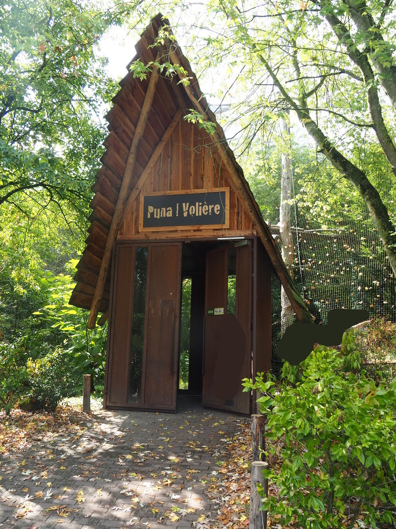 Access to the Puna aviary, 2022-08-20