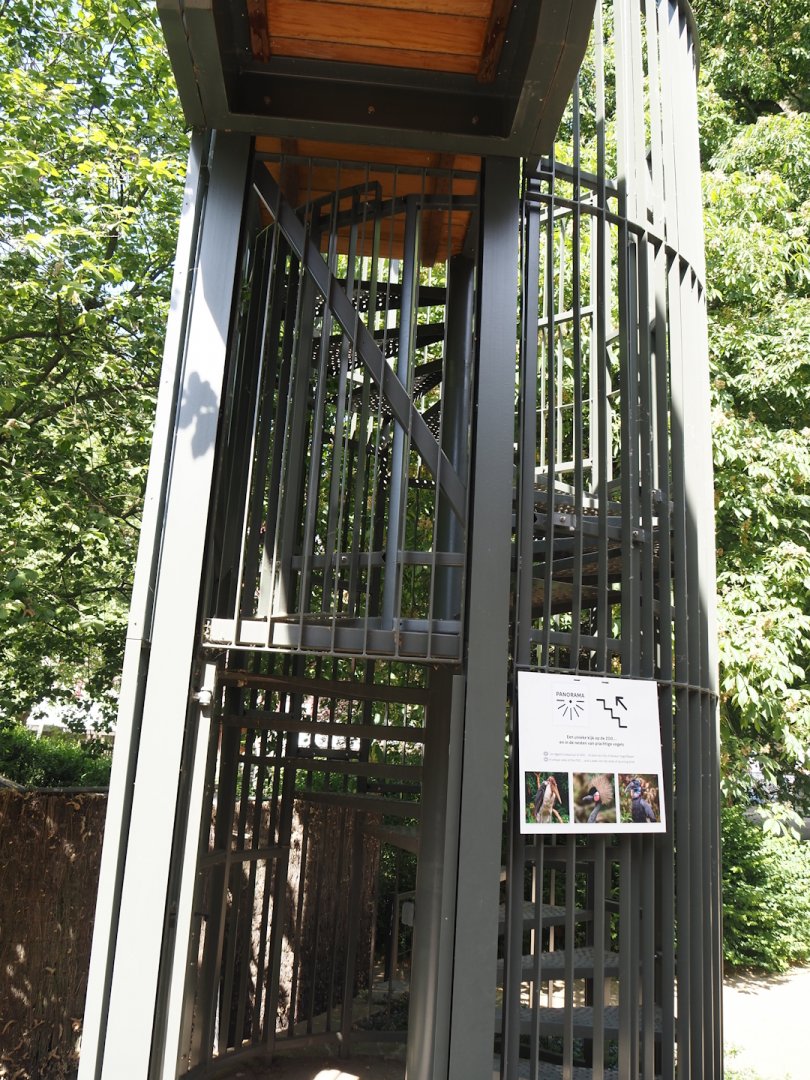 Access to the upper viewing area on top of the hippo house, 2025-05-14