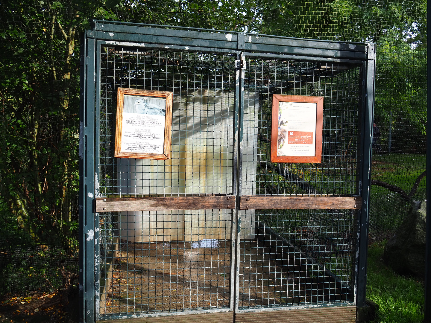 Access to walk-through raptor and vulture aviary, 2019-10-04