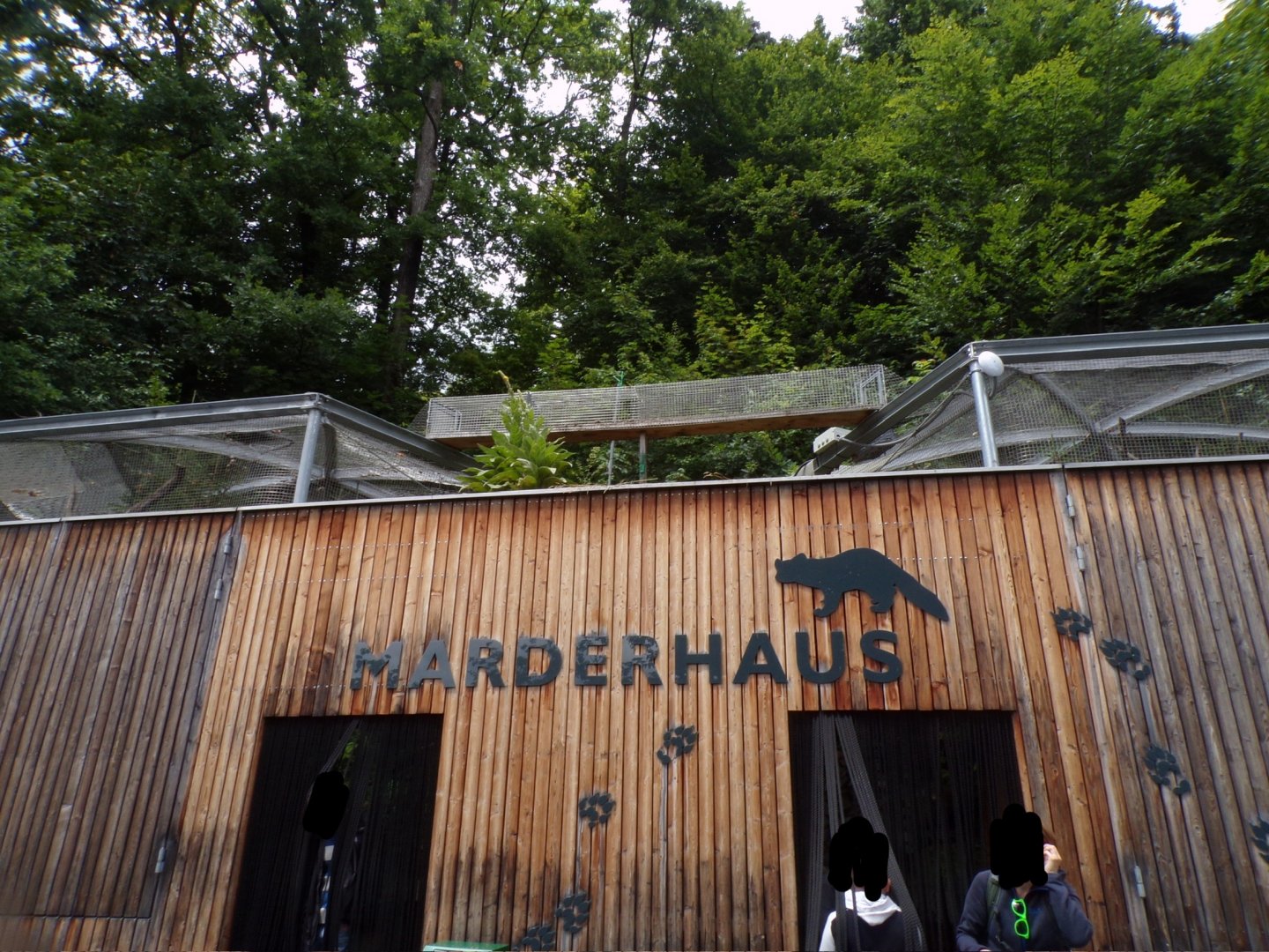 Access tunnel between pine marten enclosures 9.7.25