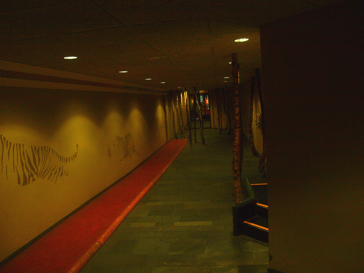 Access tunnel to Jaguar (former tiger) viewing corridor, 2015-07-19