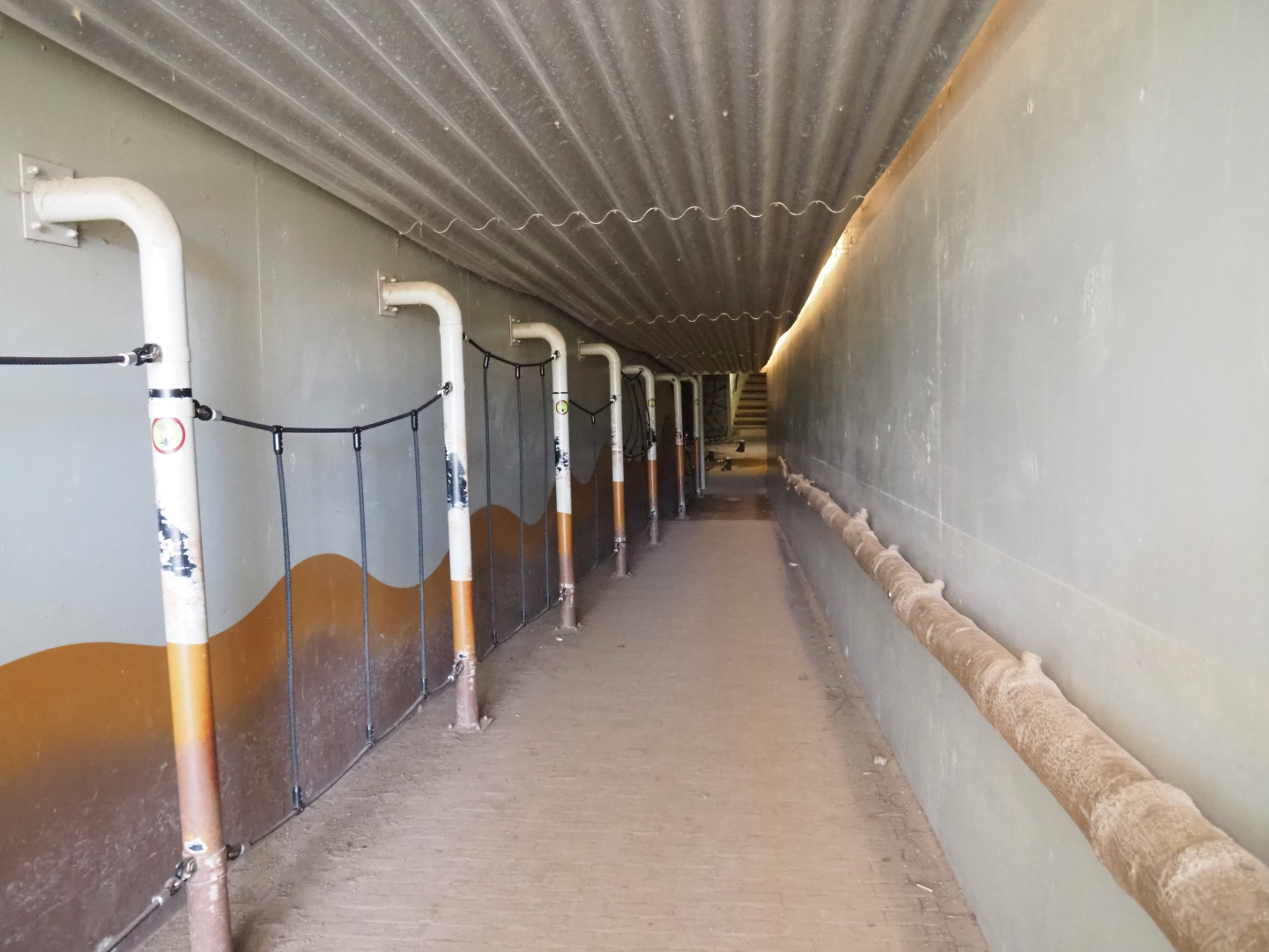 Access tunnel to the tree-top, 2022-03-08