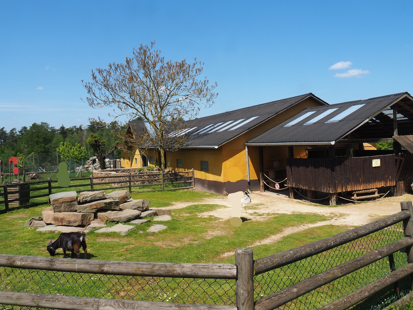 Accessible petting zoo paddock, 2023-05-19