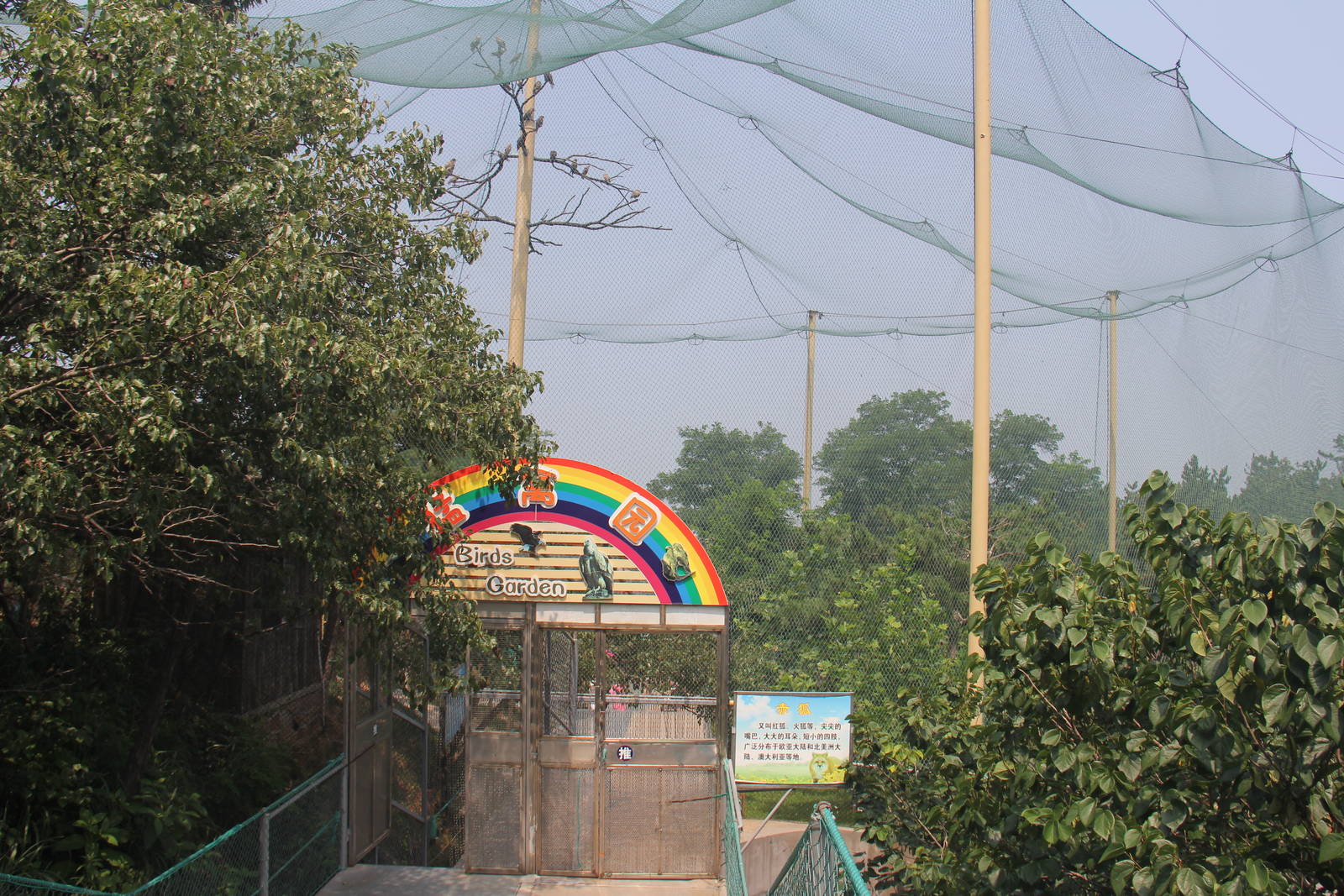 Accessible Raptor enclosure