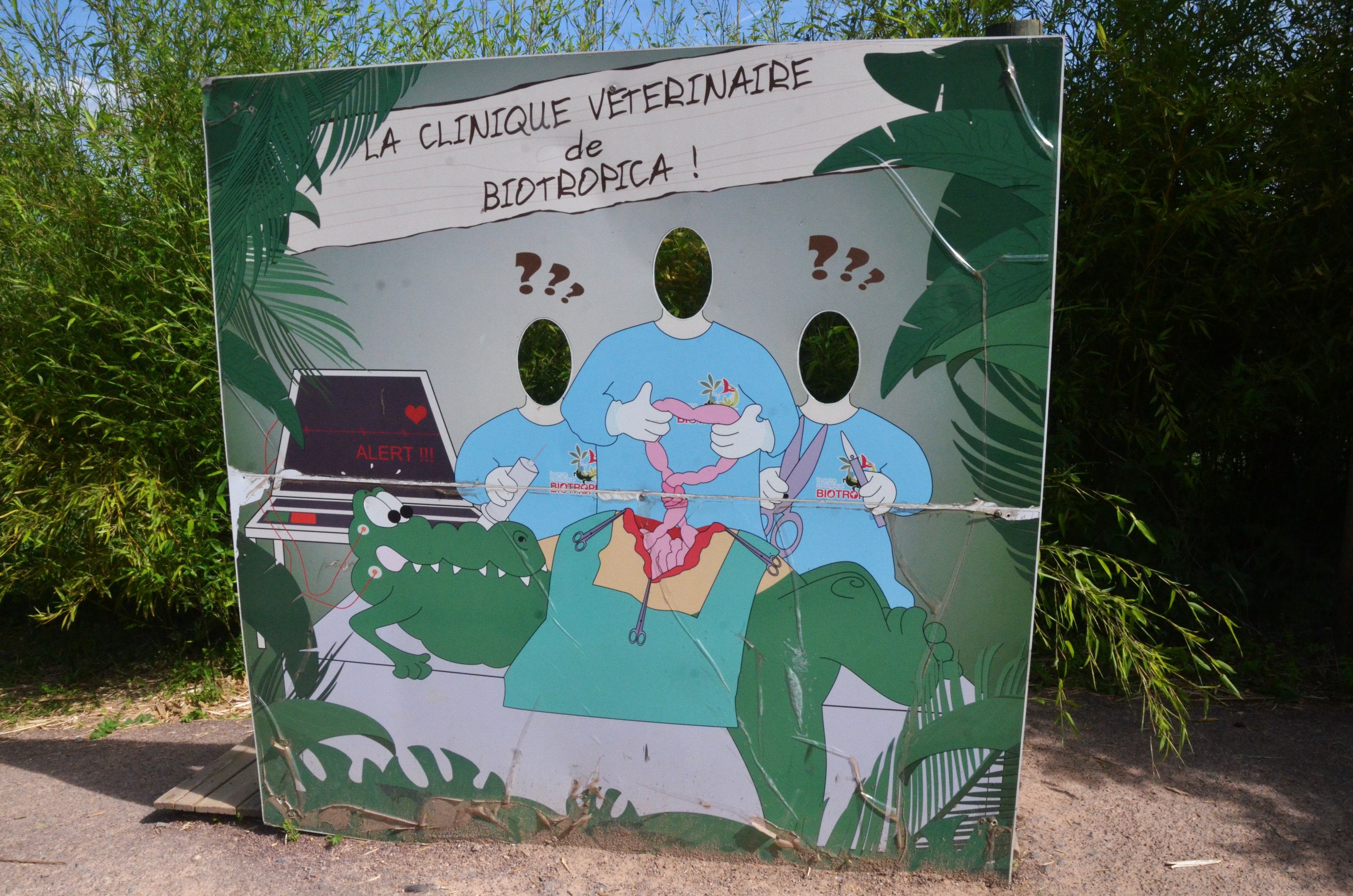 Accurate Representation of Veterinary Science at Biotropica, 16/06/18