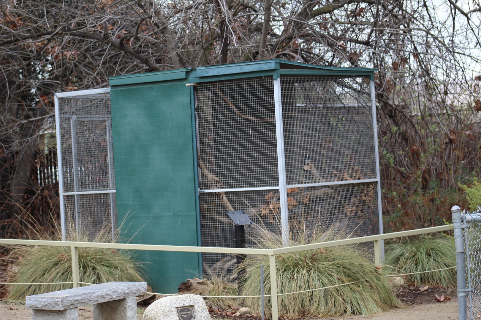 Acorn Woodpecker Enclosure